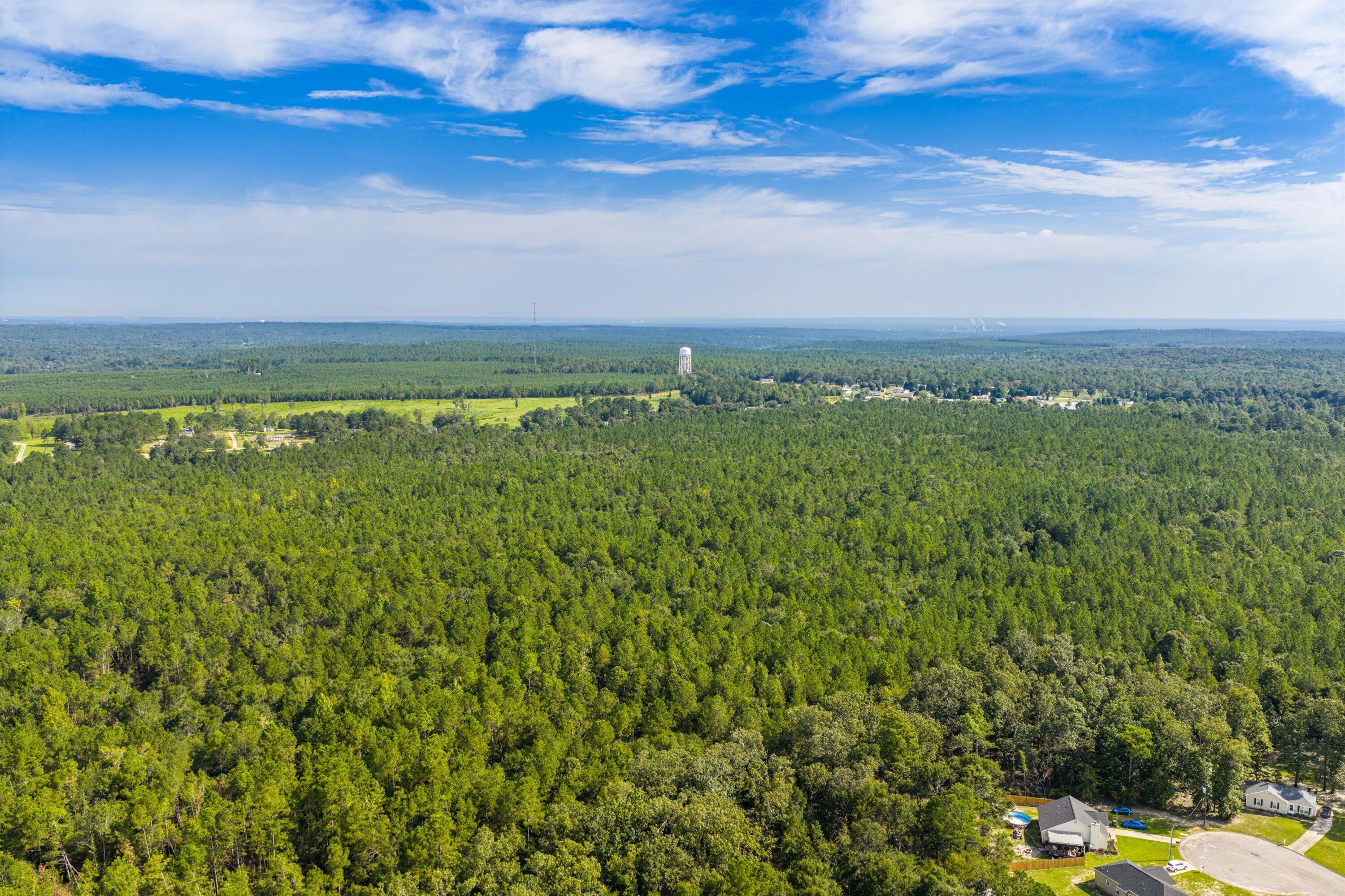 1503 Hephzibah - Mcbean Road Property Photo 29