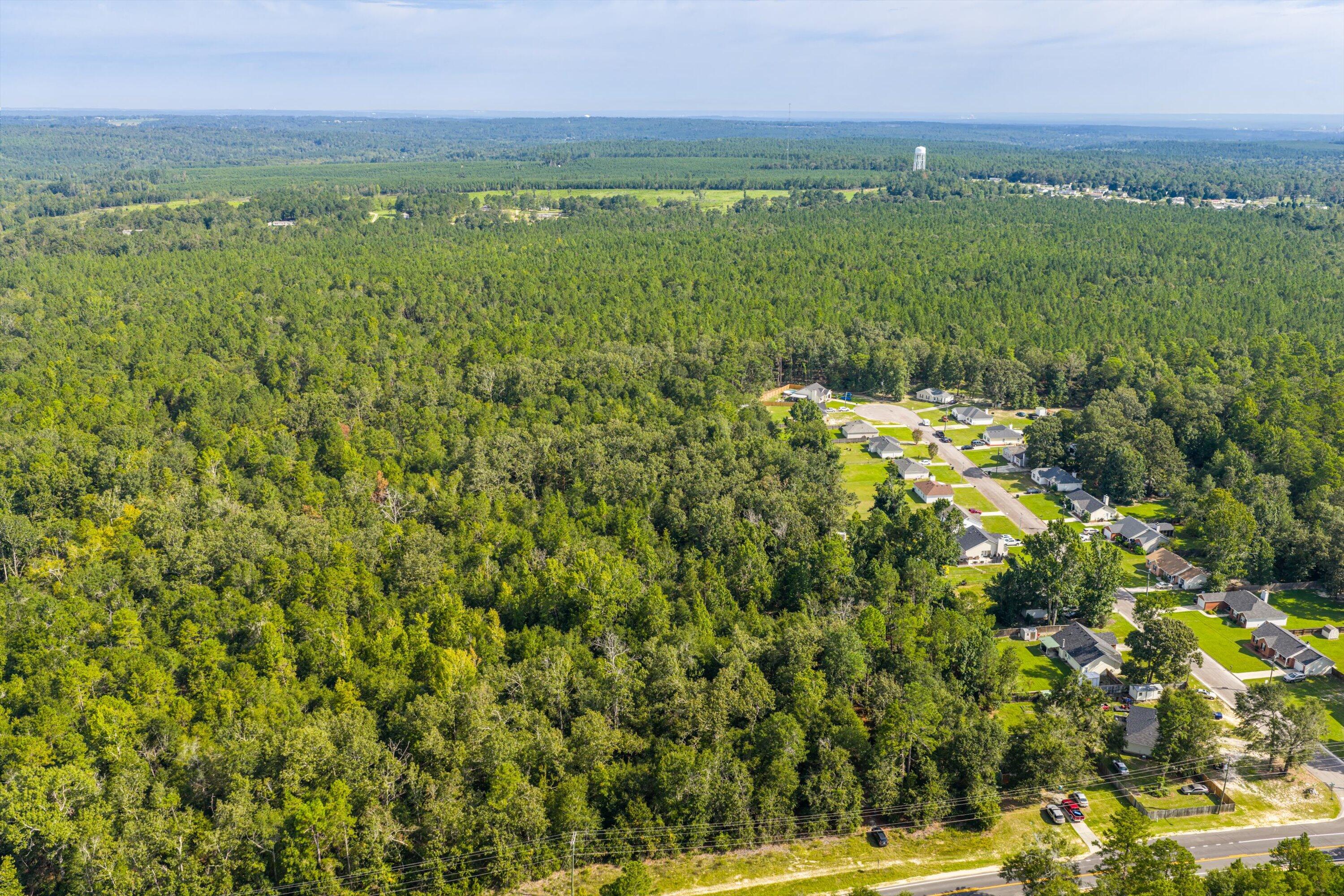1503 Hephzibah - Mcbean Road Property Photo 33
