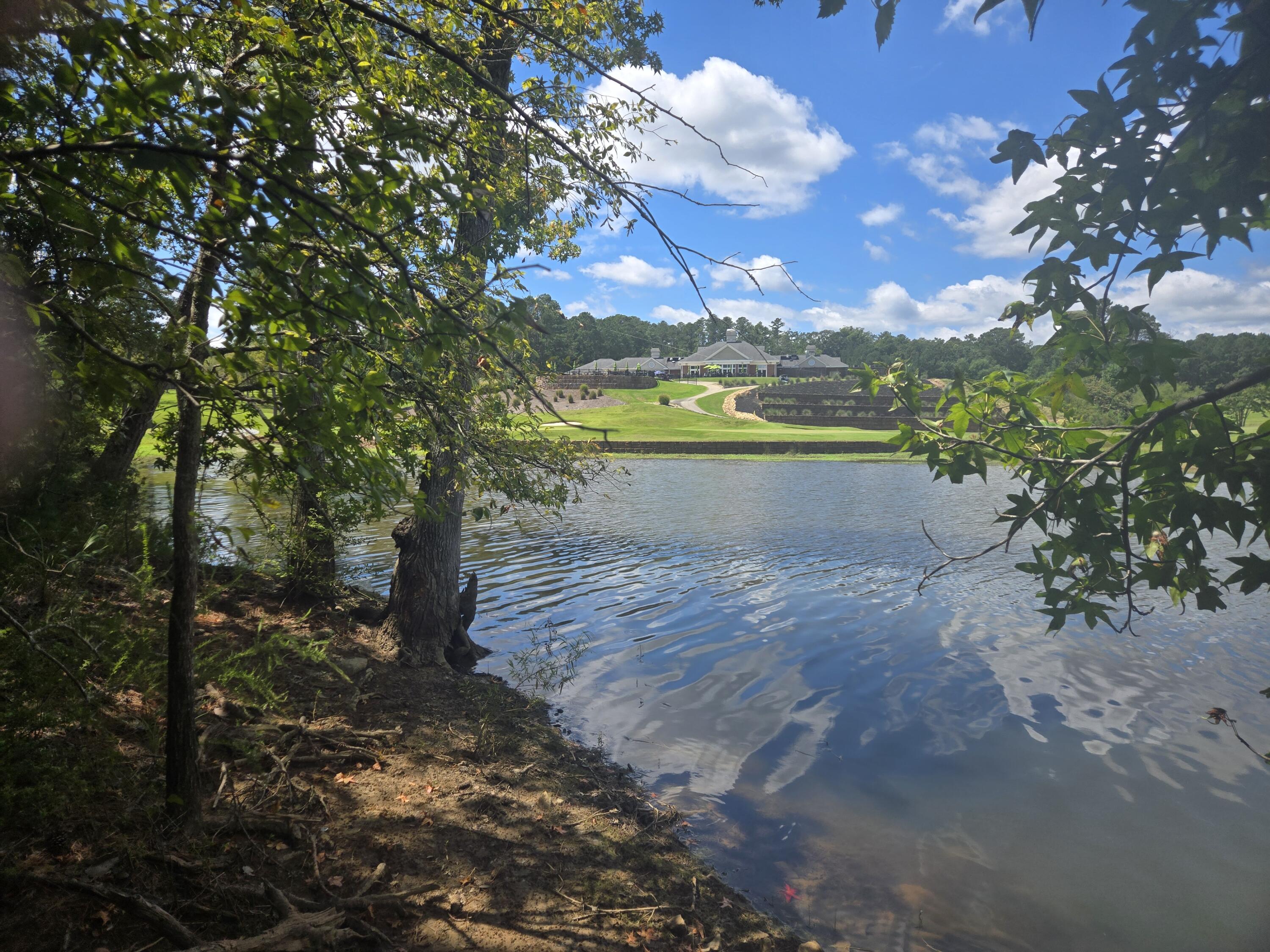 110 Old Course Lane Property Photo 1