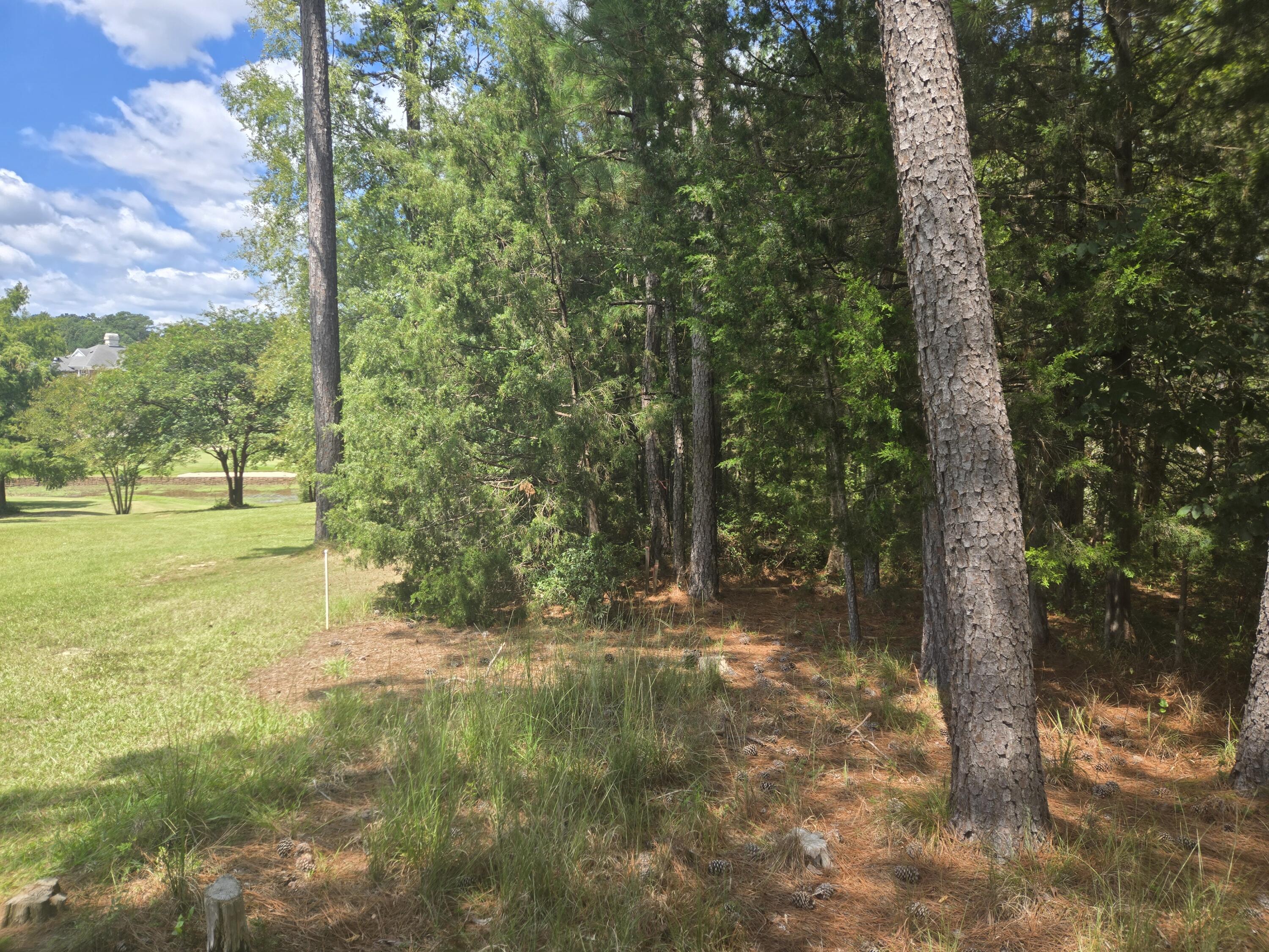 110 Old Course Lane Property Photo 3