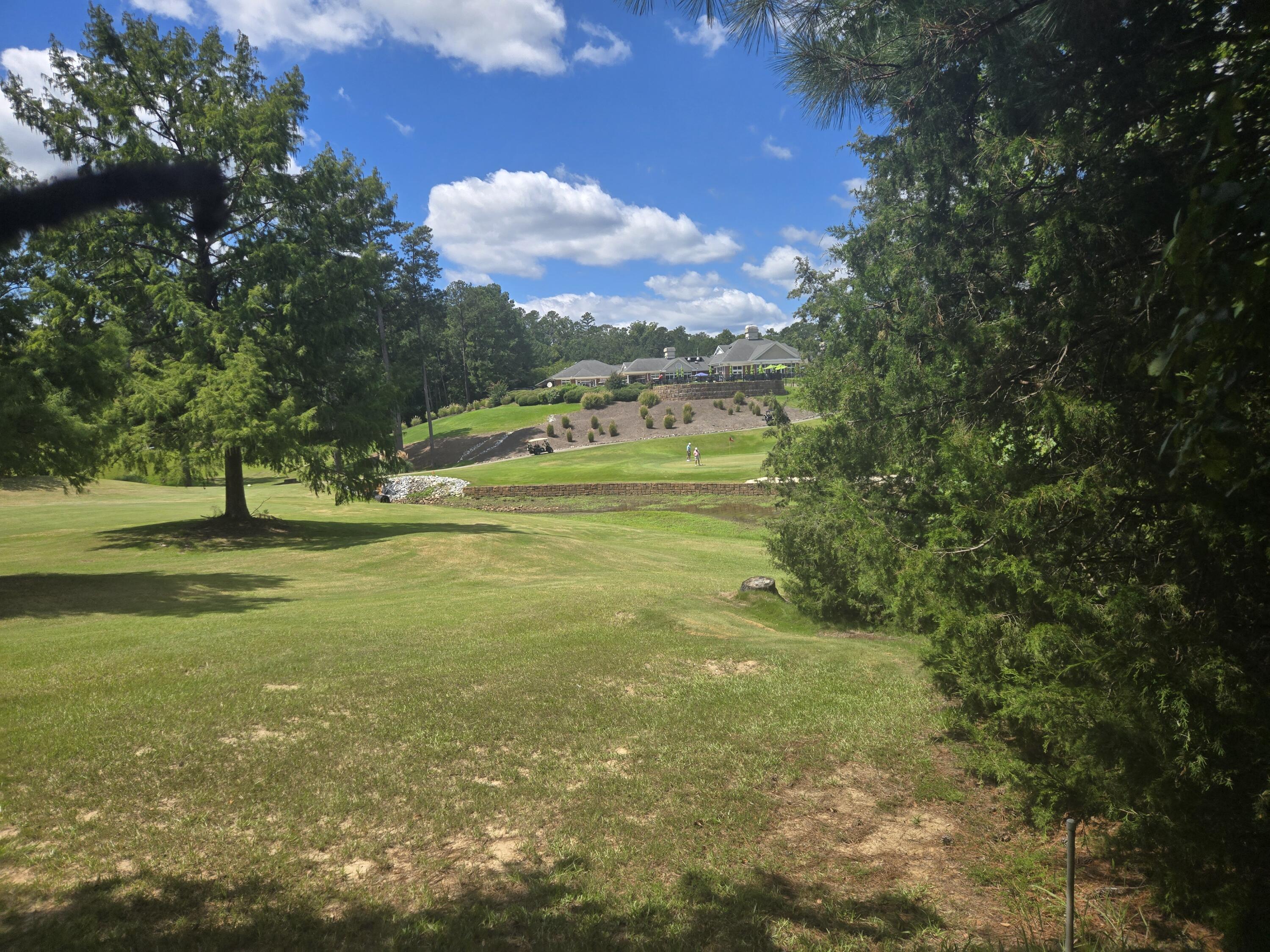 110 Old Course Lane Property Photo 4