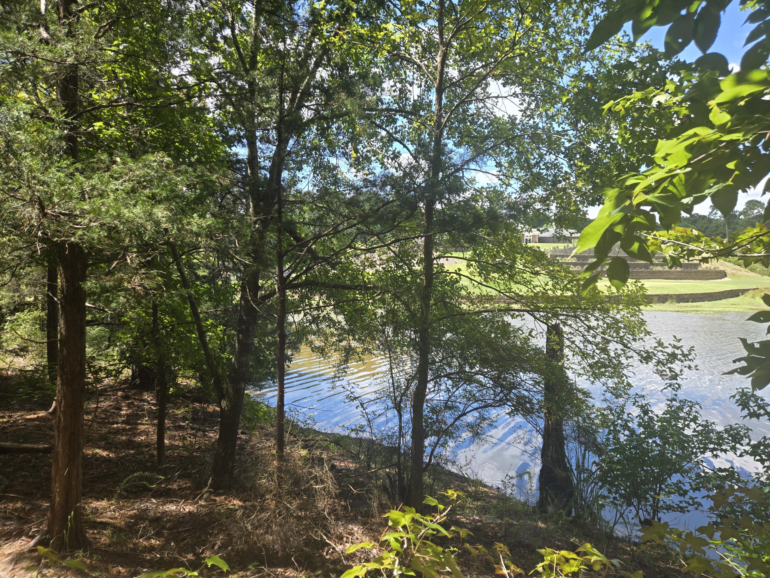 110 Old Course Lane Property Photo 6