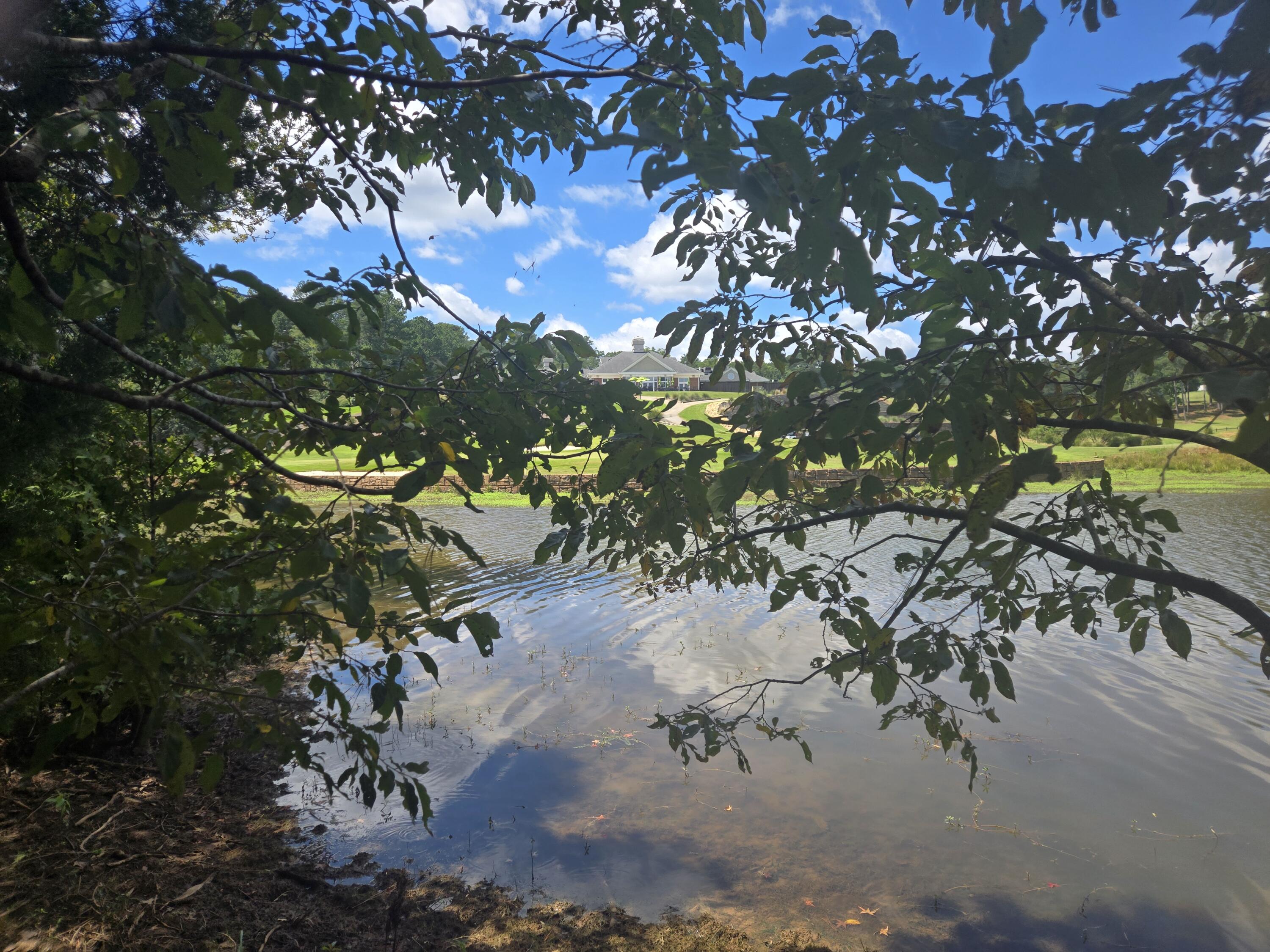 110 Old Course Lane Property Photo 7