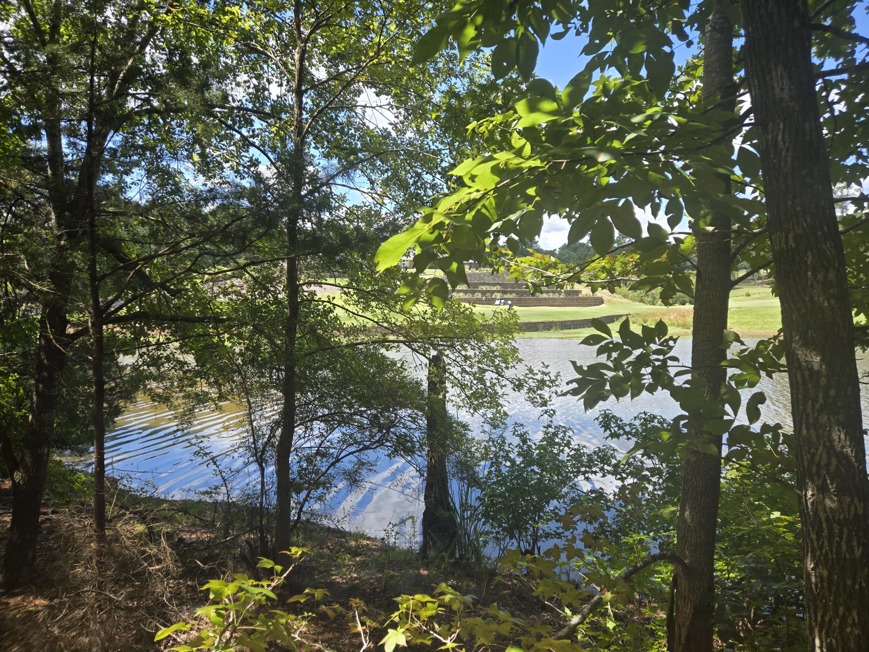110 Old Course Lane Property Photo 8