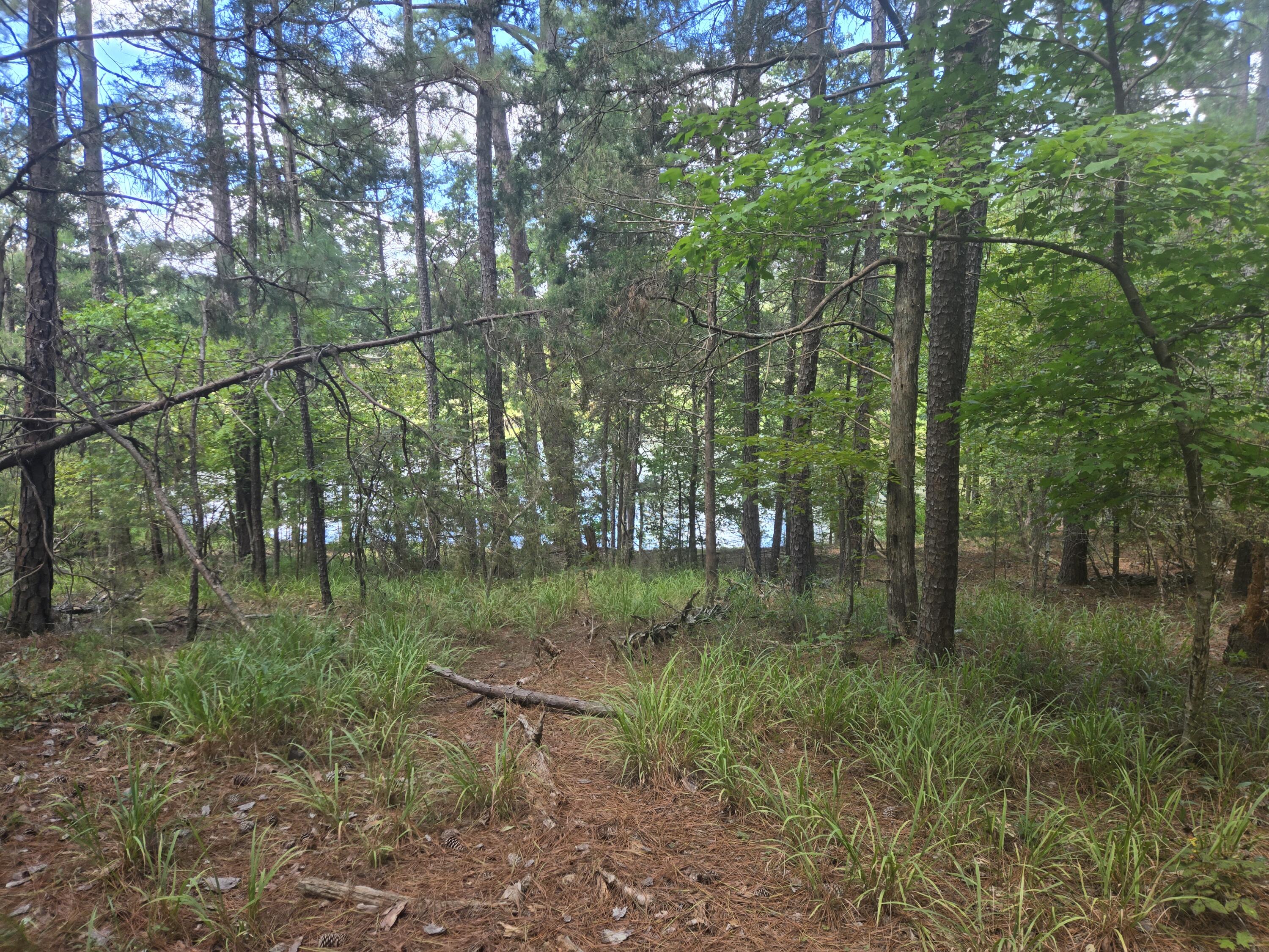 110 Old Course Lane Property Photo 11