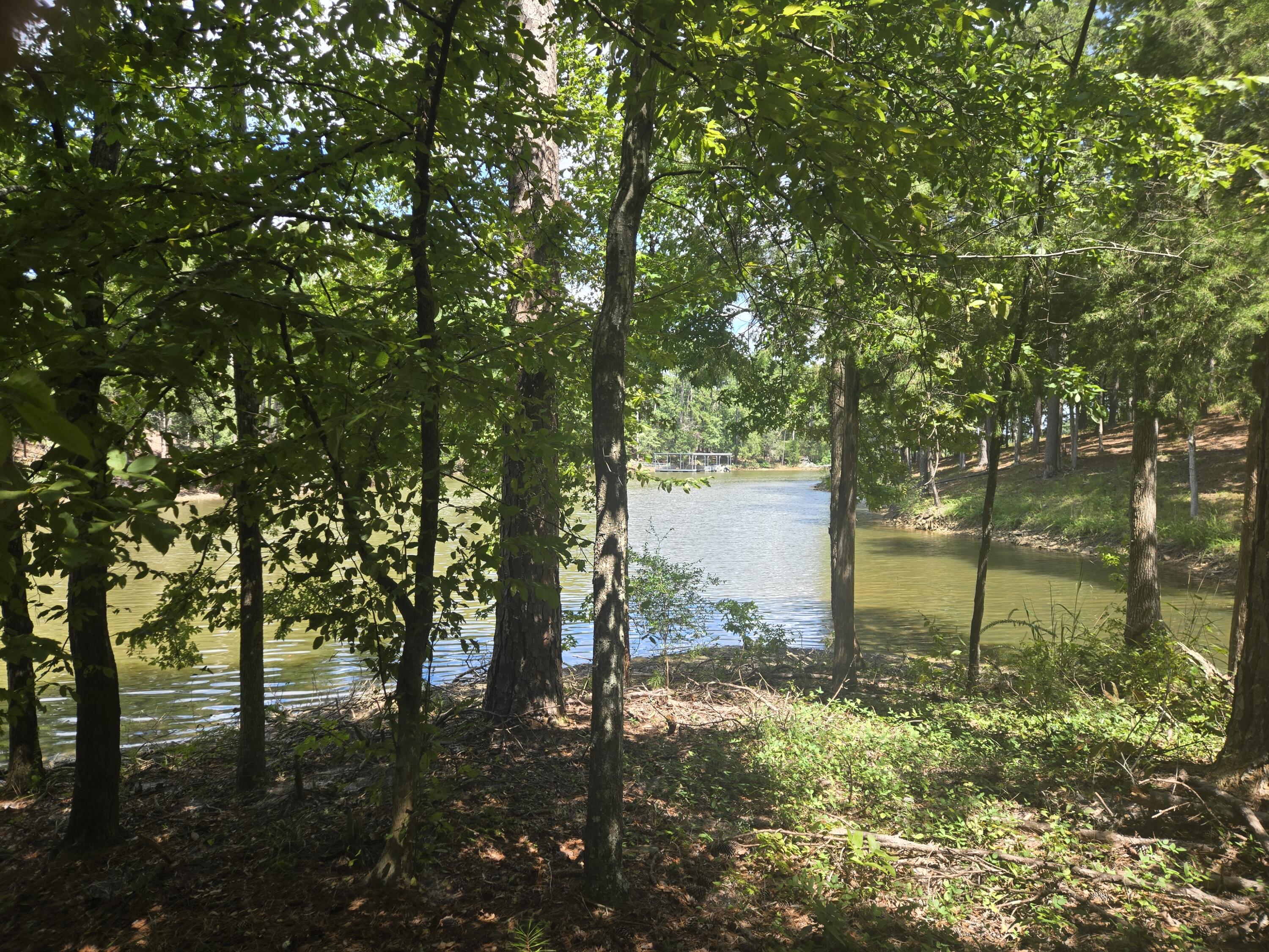 110 Old Course Lane Property Photo 12