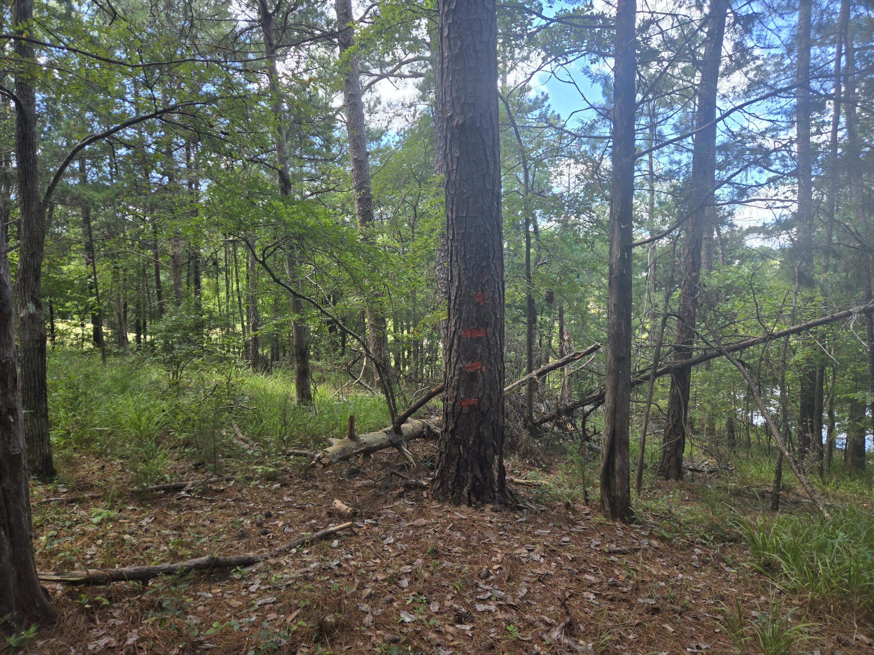 110 Old Course Lane Property Photo 13