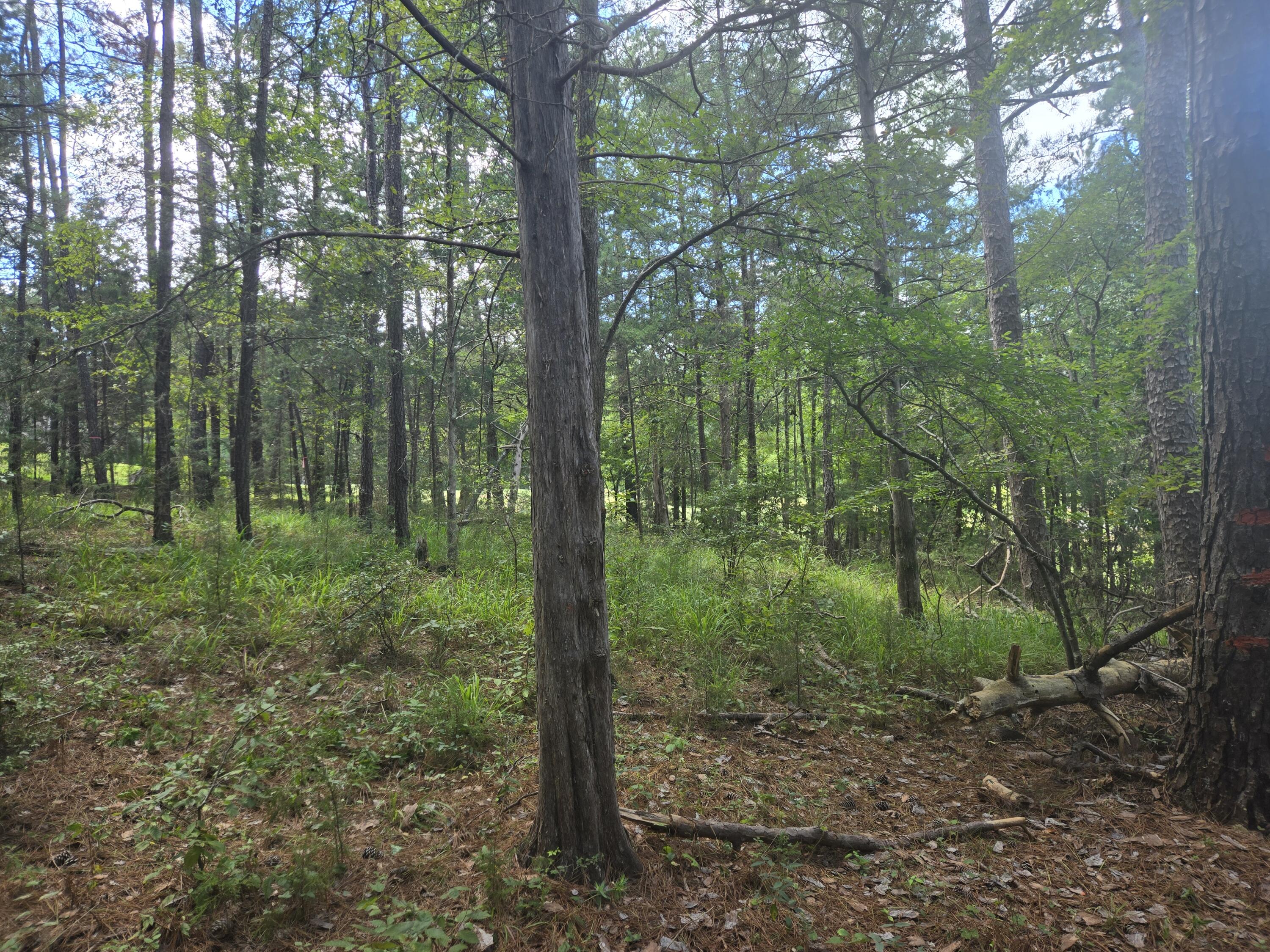 110 Old Course Lane Property Photo 14