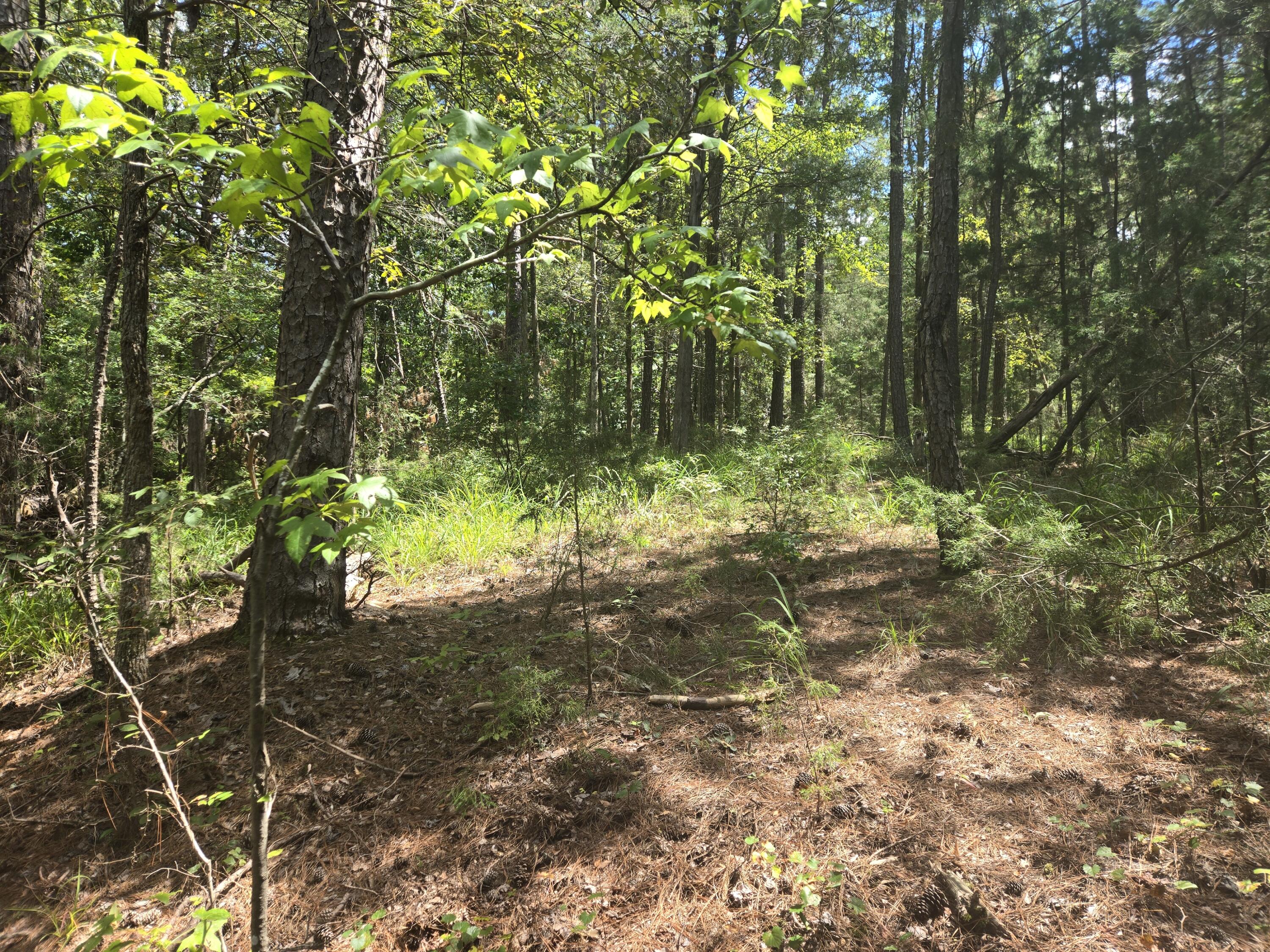 110 Old Course Lane Property Photo 15