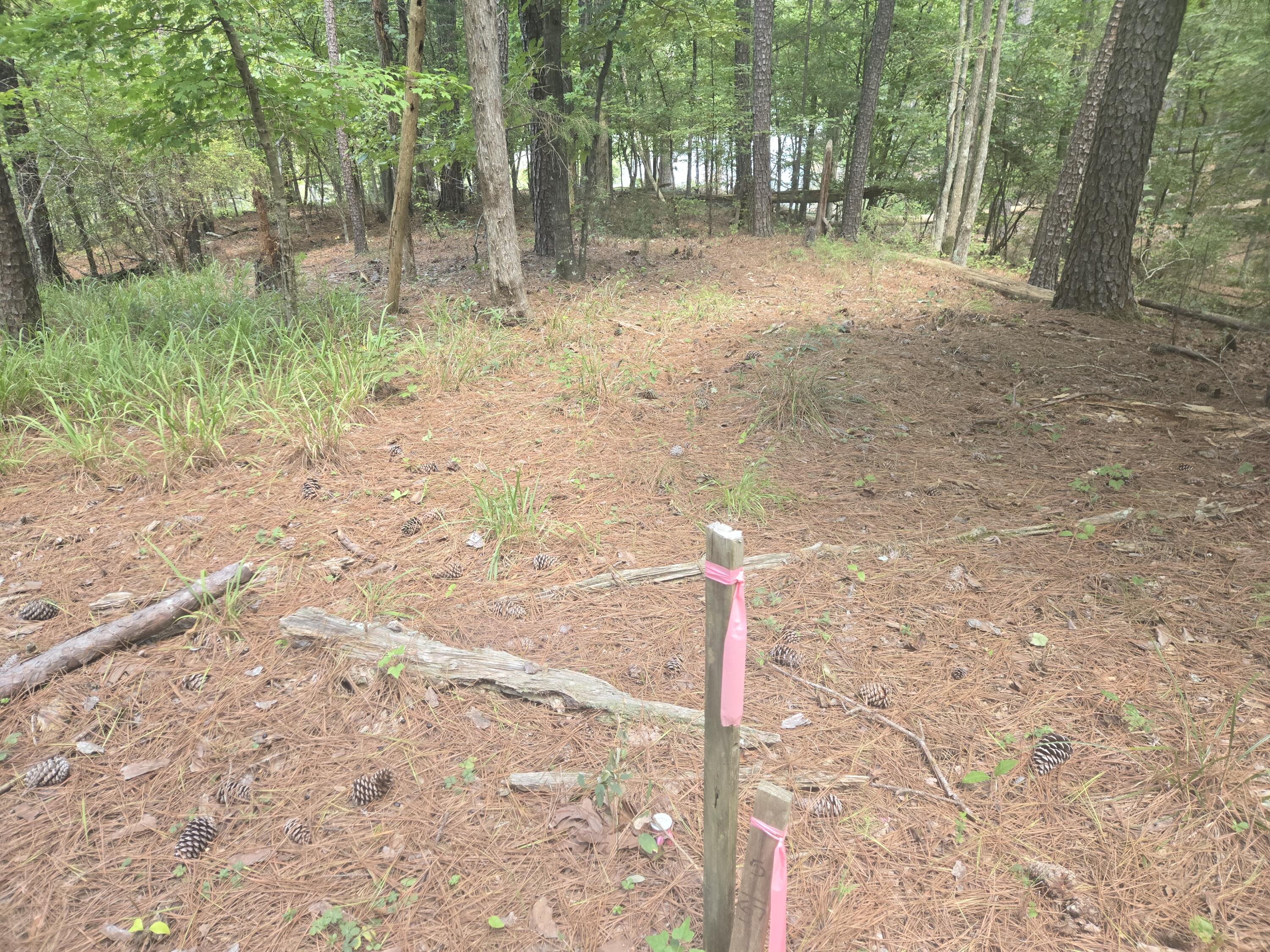 110 Old Course Lane Property Photo 16