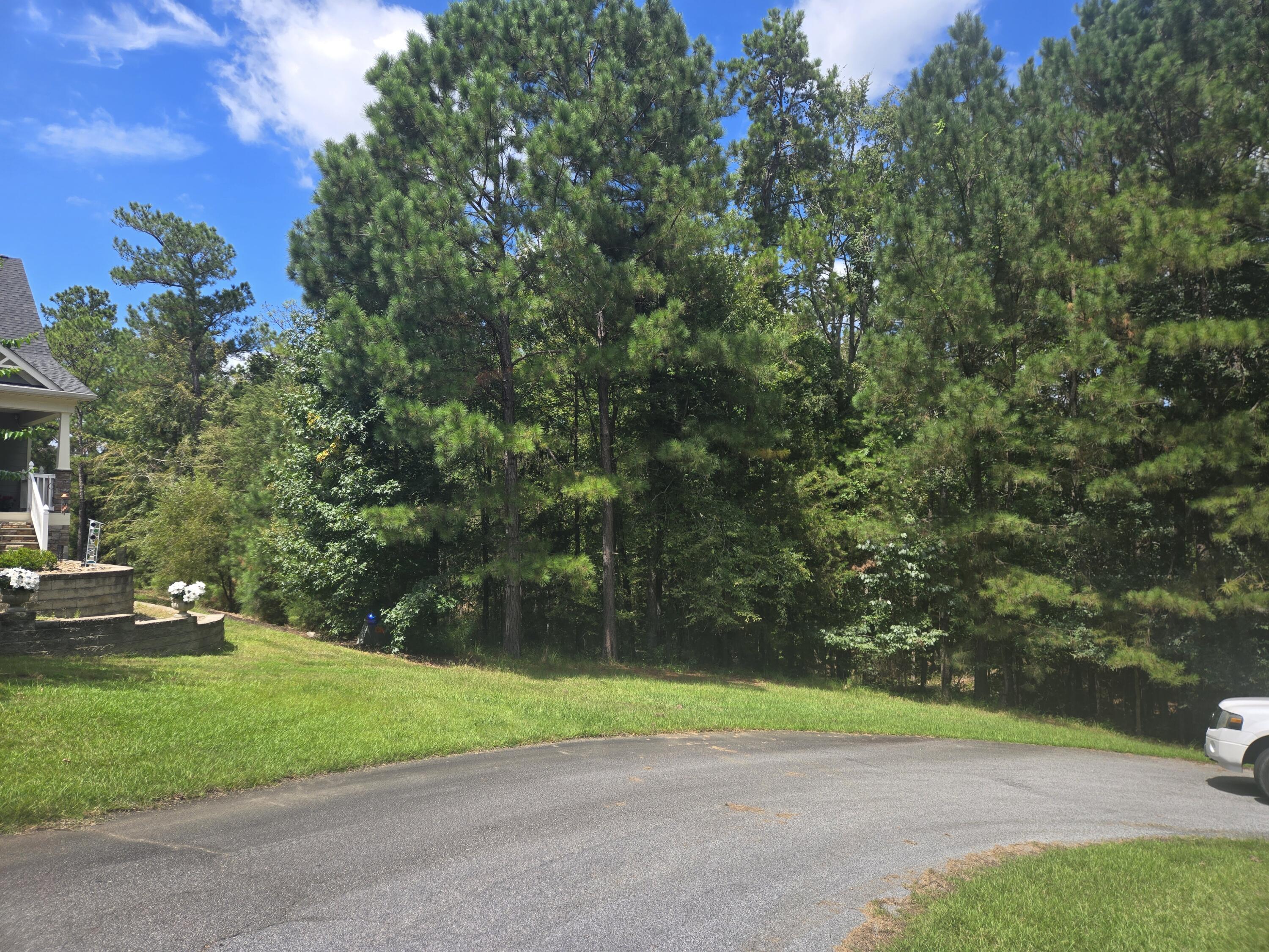 110 Old Course Lane Property Photo 17