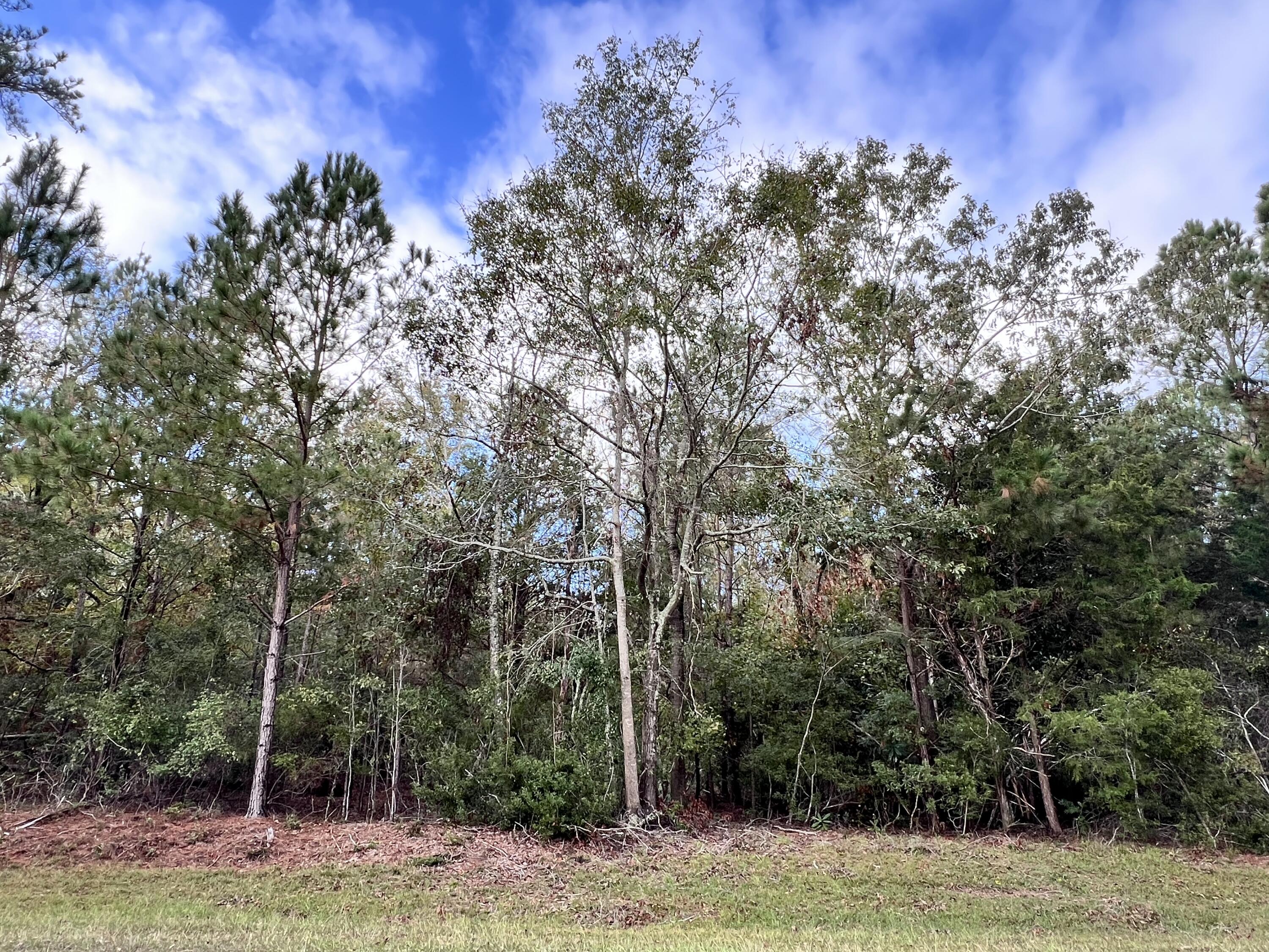Lot B Ridge Road Property Photo 3