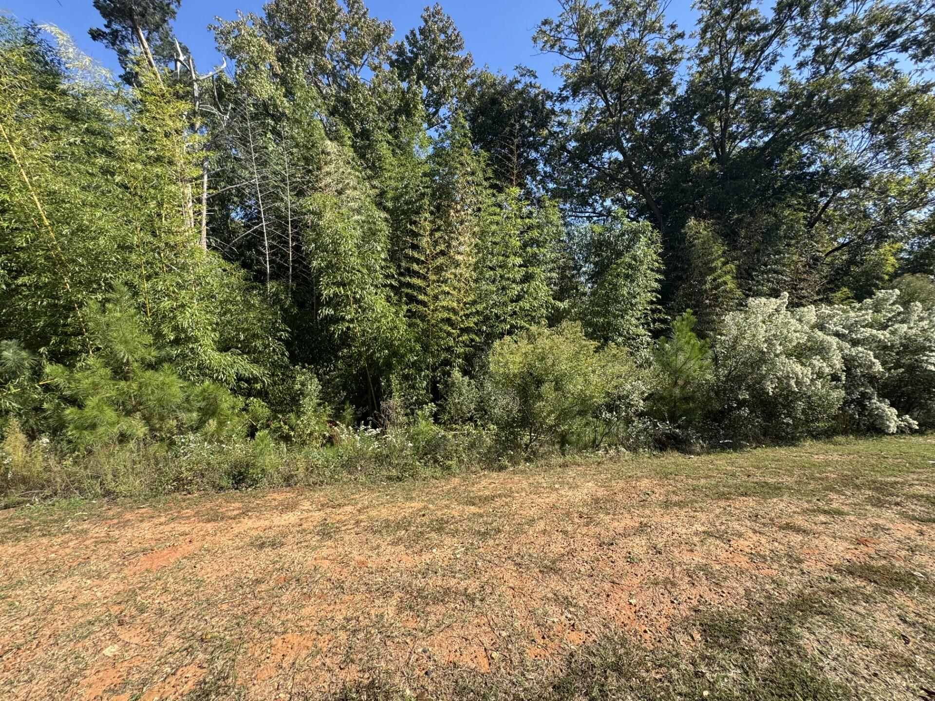 0 E Robinson Avenue Property Photo 1