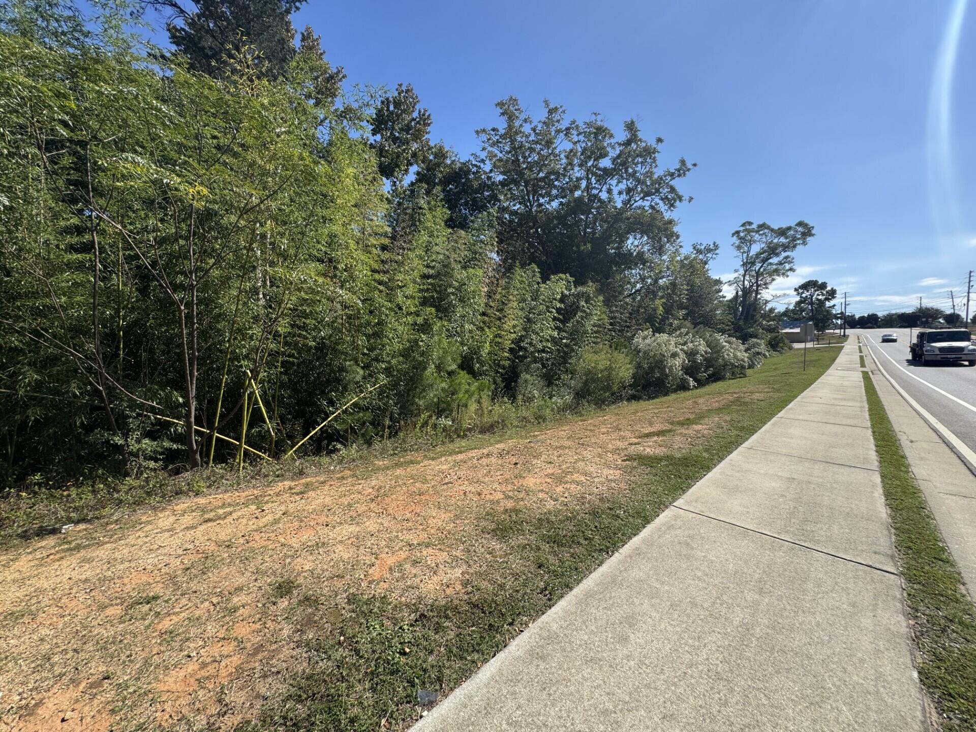 0 E Robinson Avenue Property Photo 2