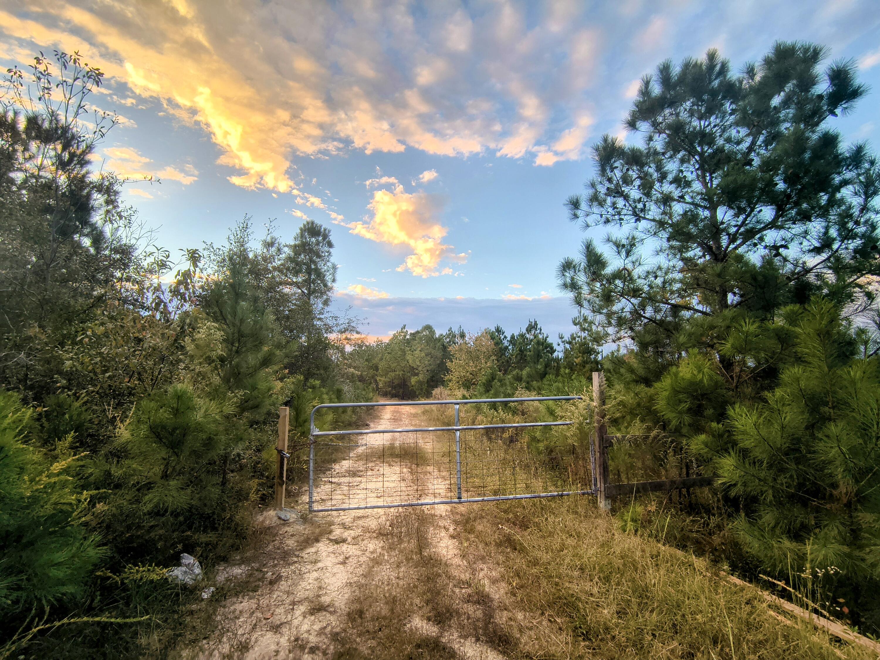 2427 B Wire Road Property Photo 2