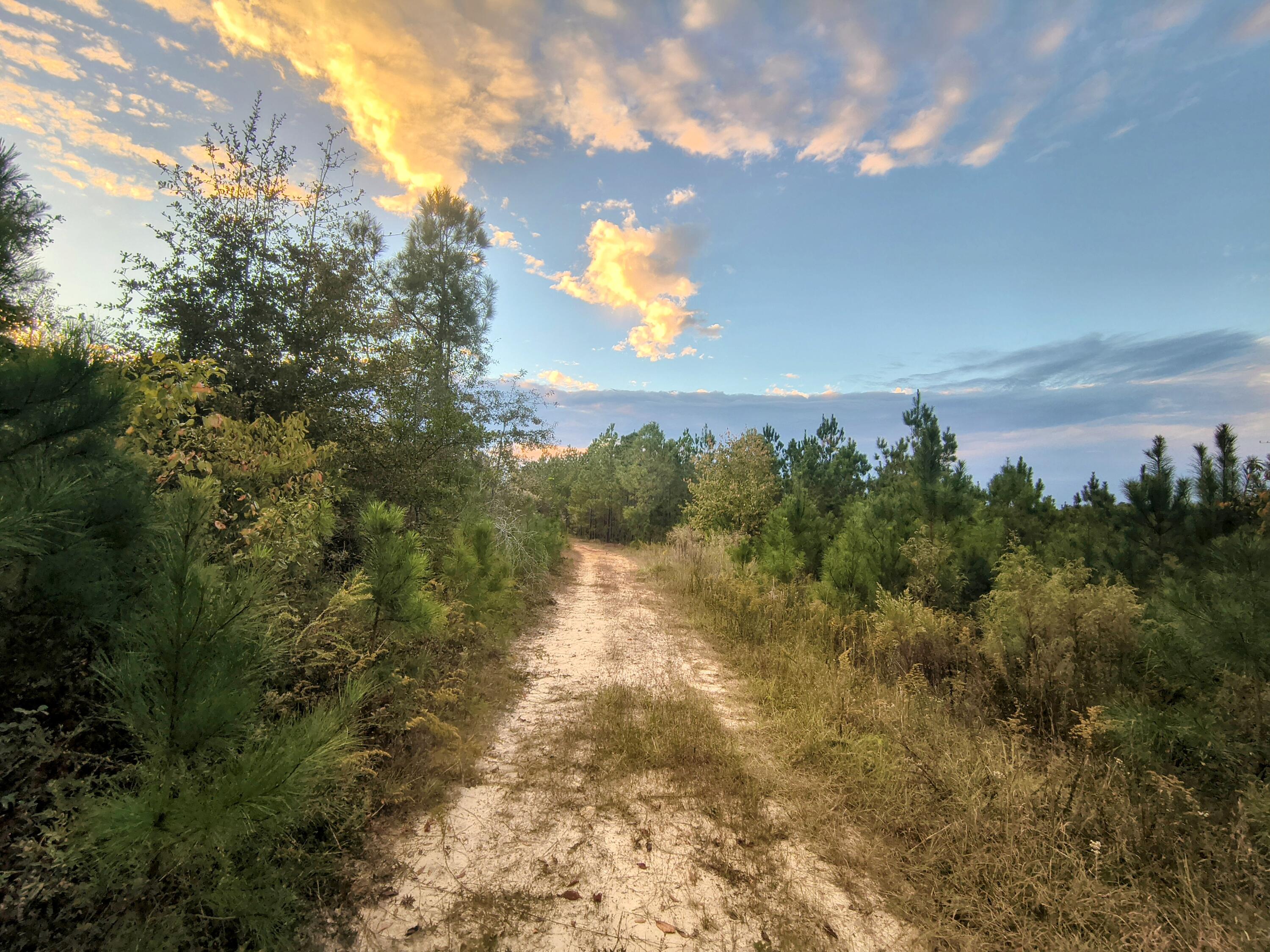 2427 B Wire Road Property Photo 3