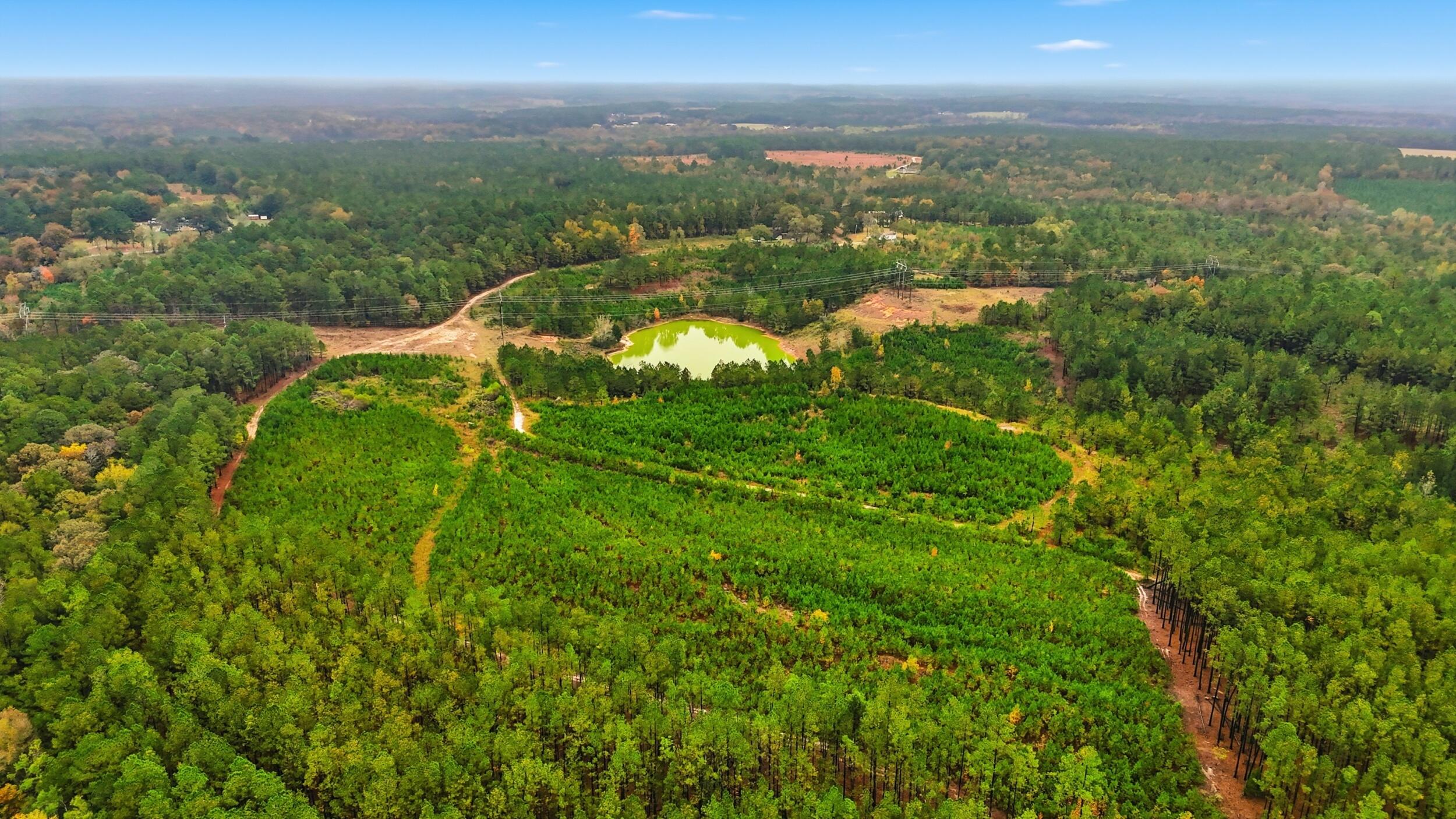 2427 B Wire Road Property Photo 15