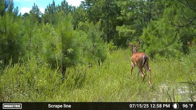 2427 B Wire Road Property Photo 21