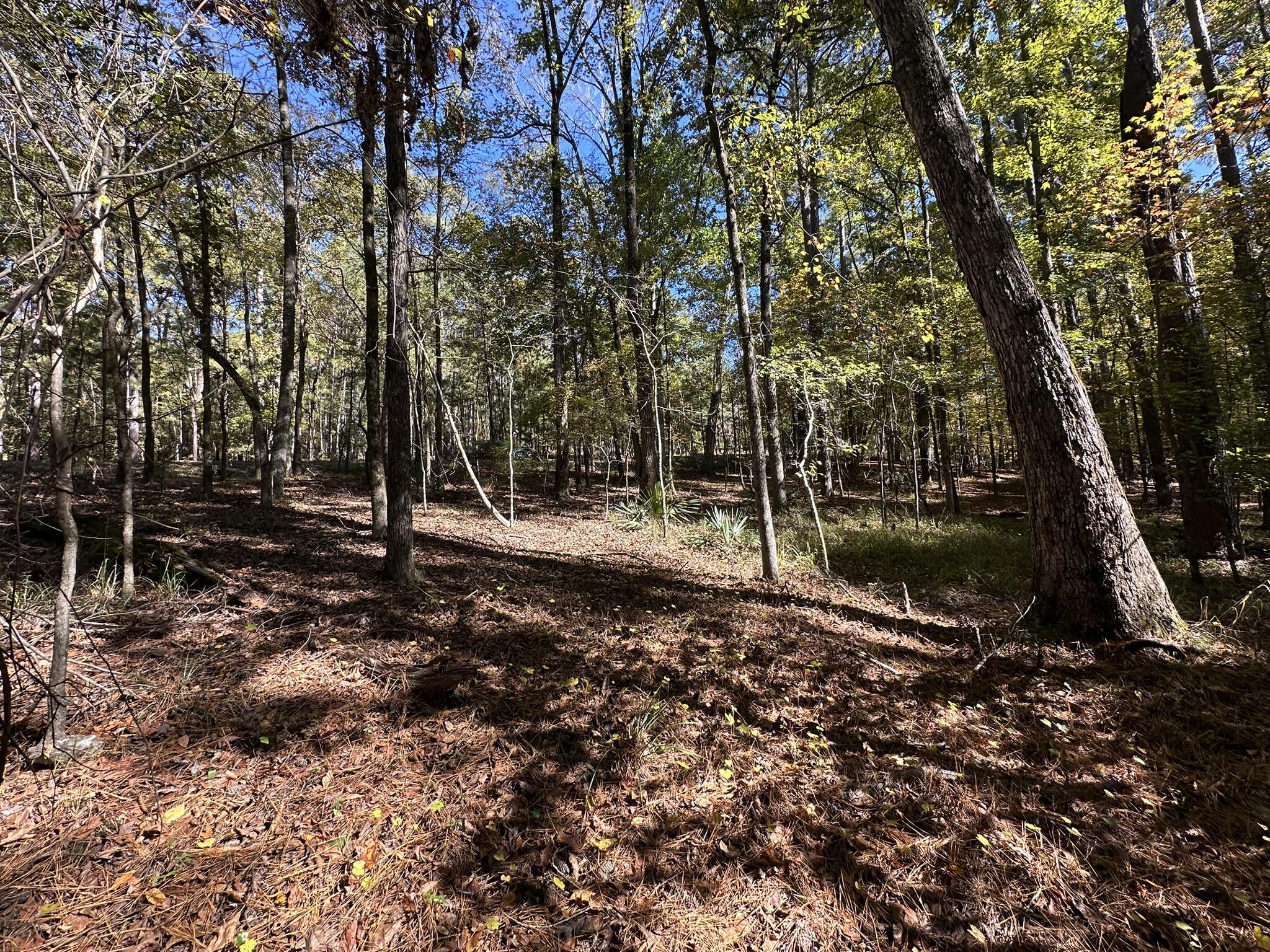 167 7 Southwind Drive Property Photo 9