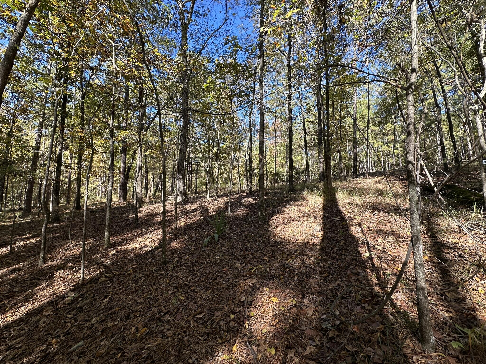 167 7 Southwind Drive Property Photo 10