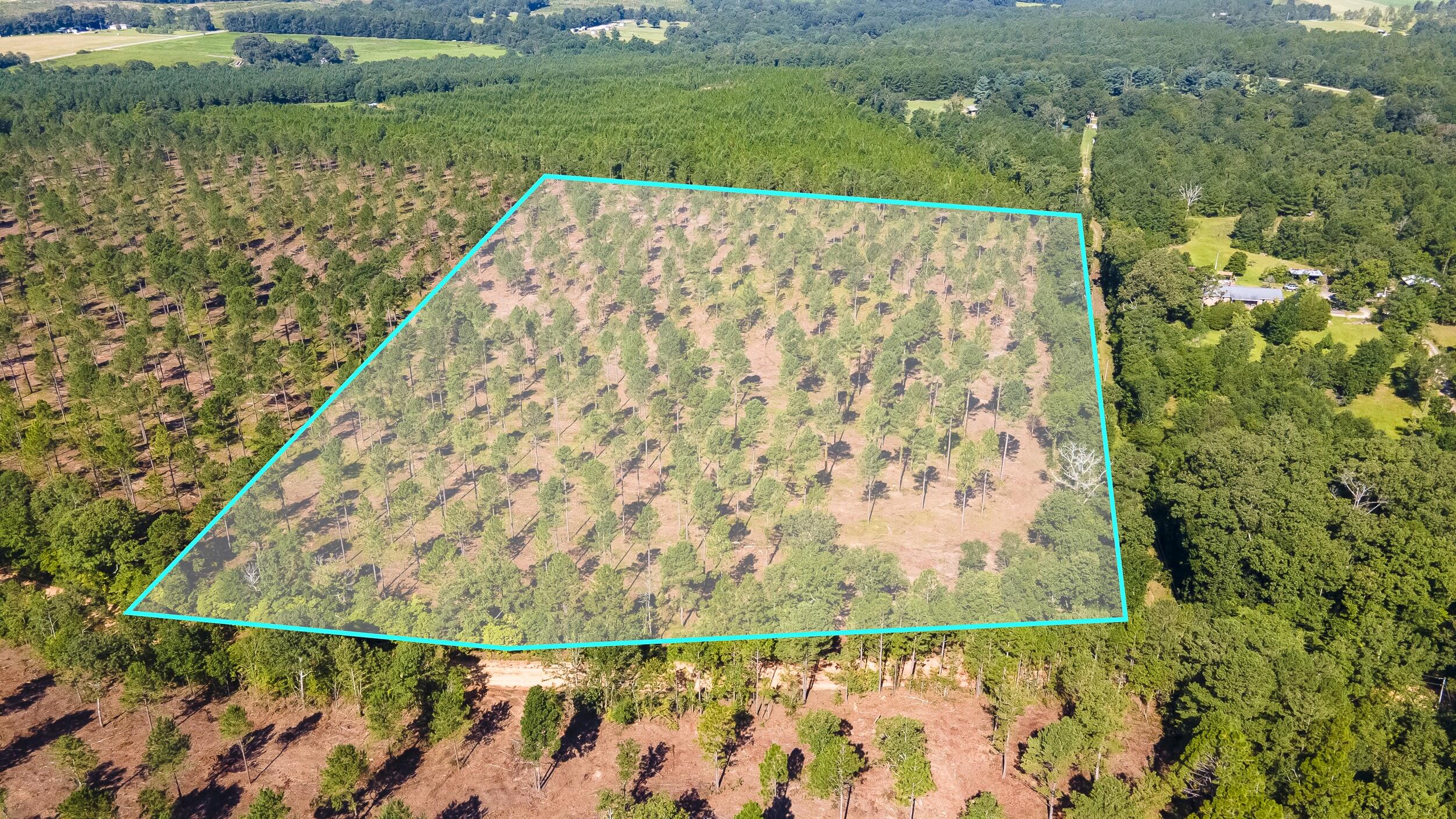Lot 3 Bluffwood Road