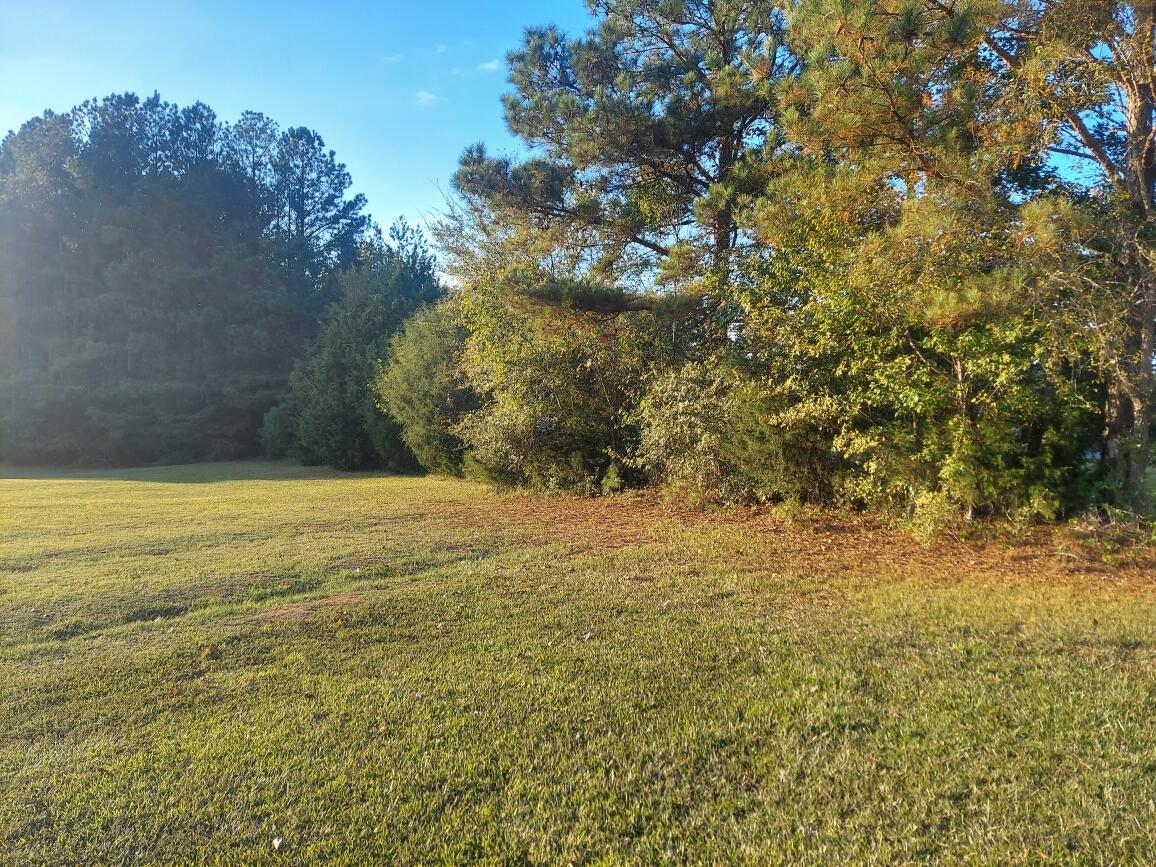 0 Clary Cut Road Property Photo 1