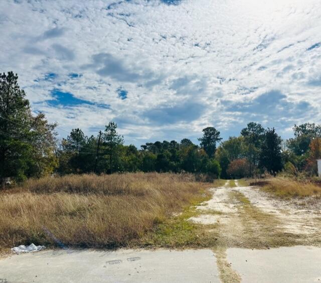2184 Gordon Highway Property Photo 3