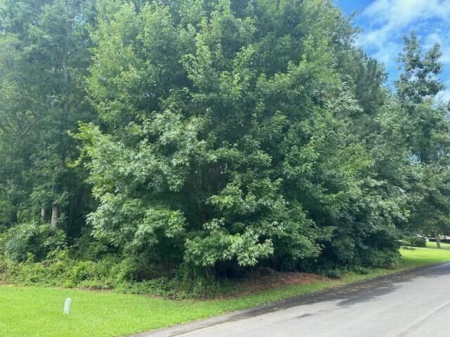 300 E Martintown Road Property Photo 1