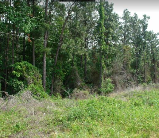 2221 Gordon Highway Property Photo 1
