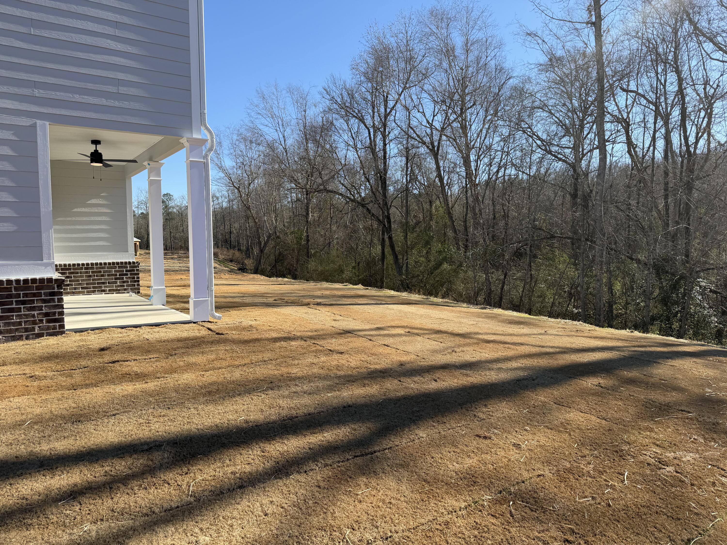 1307 Elias Station Property Photo 7