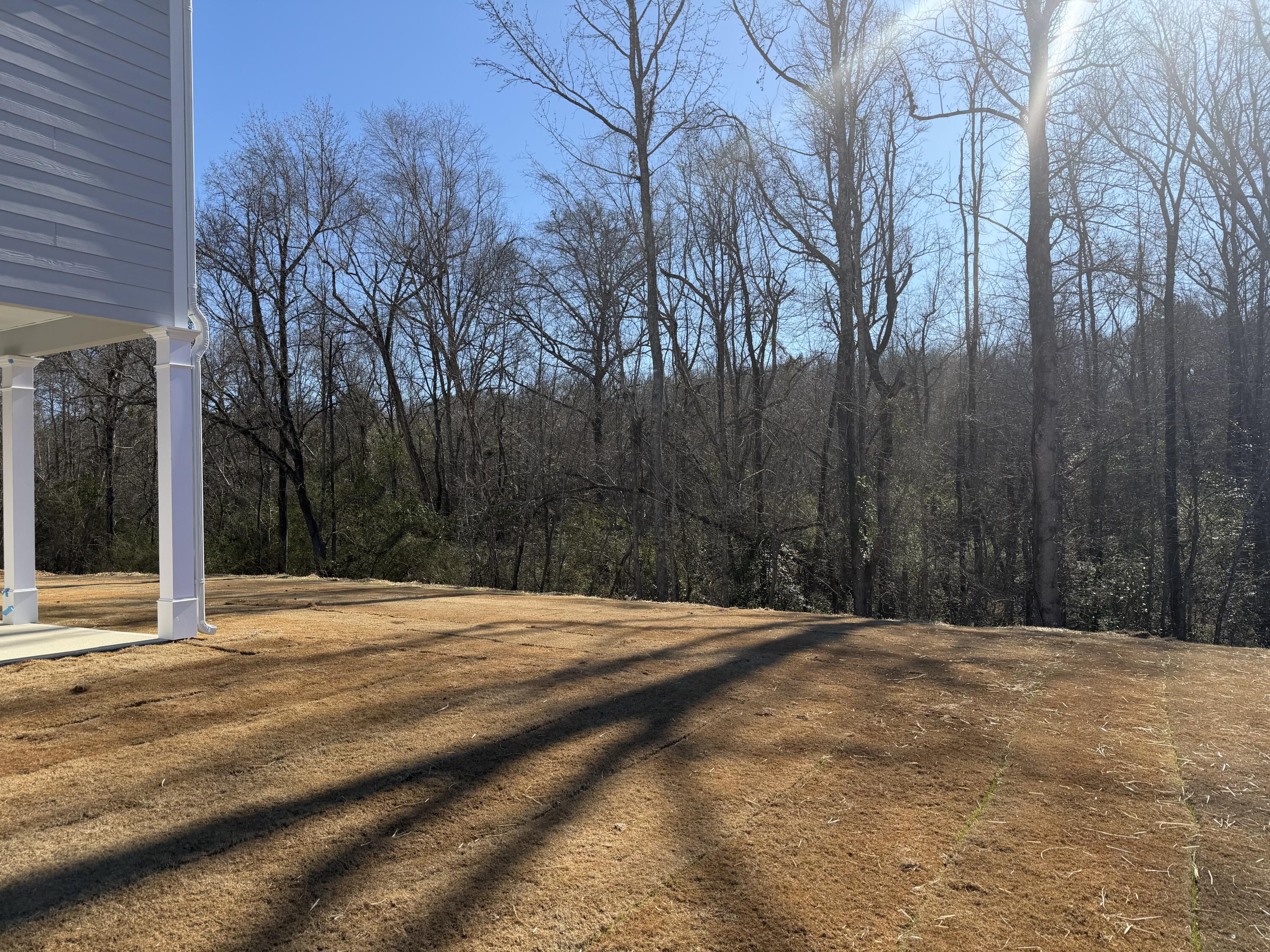 1307 Elias Station Property Photo 8