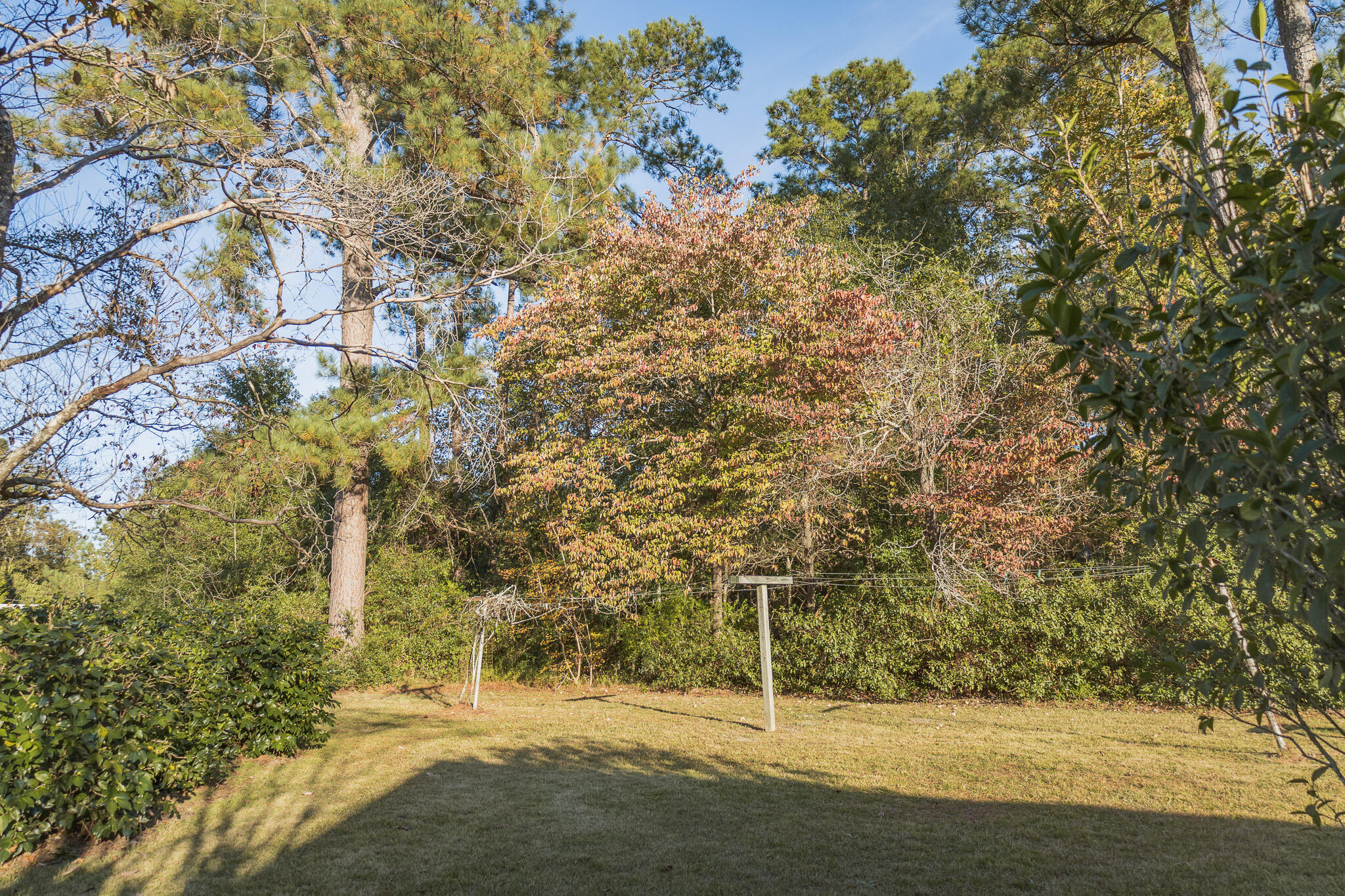 341 Azalea Avenue Property Photo 13