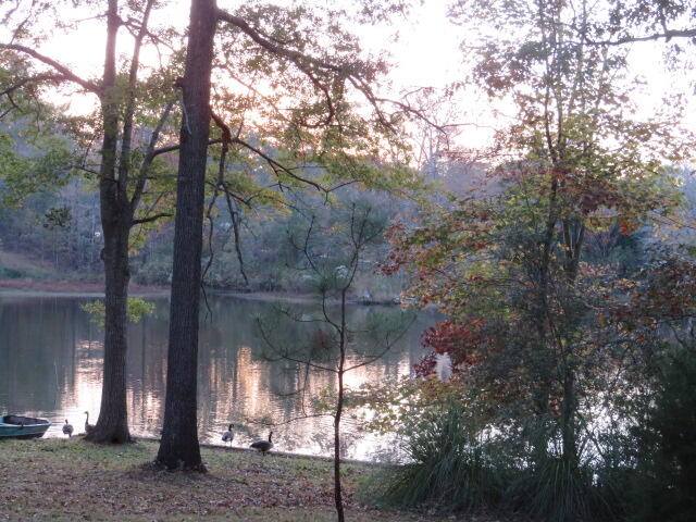 4629 Silver Lake Drive Property Photo 23