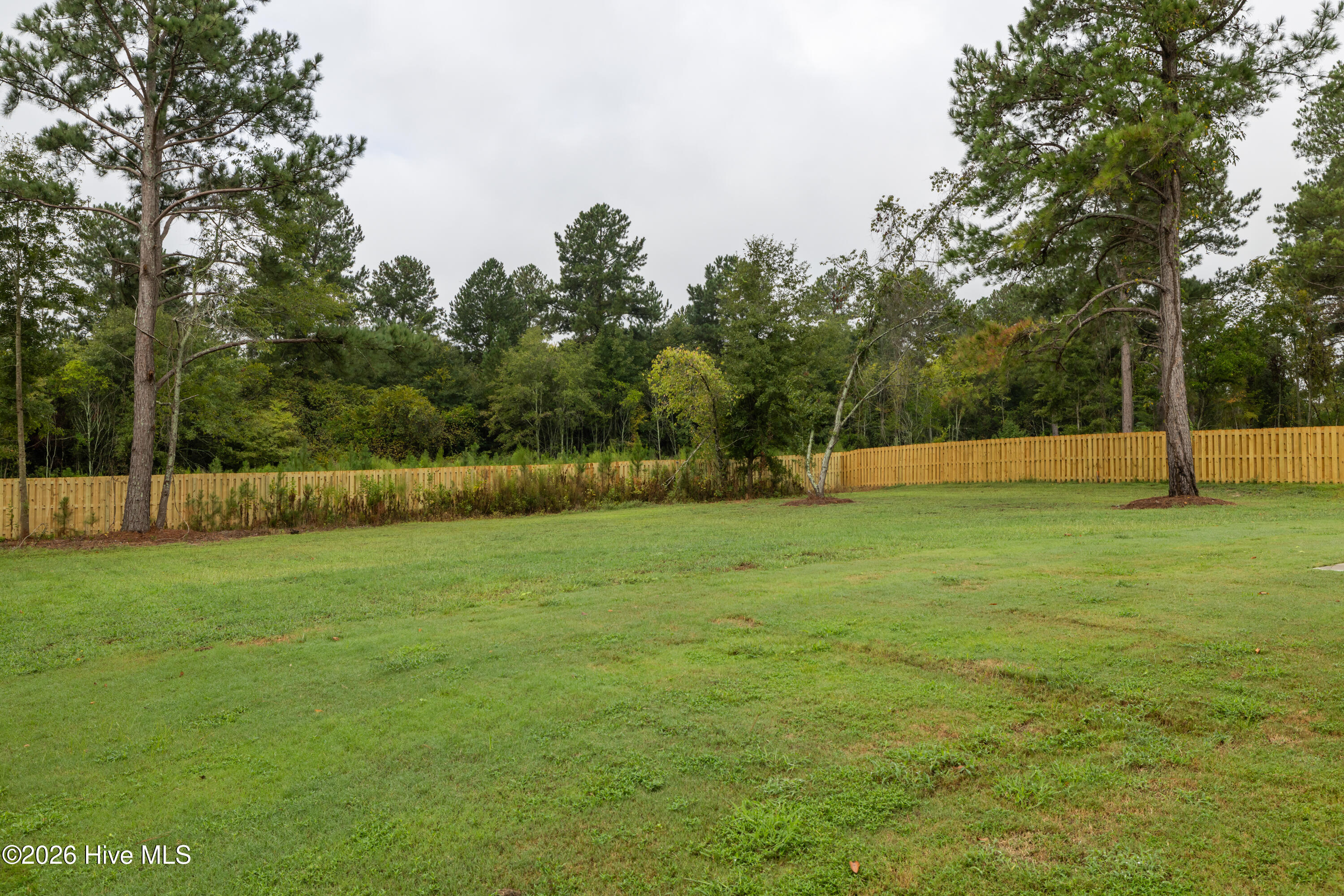1725 Bellingham Drive Property Photo 55