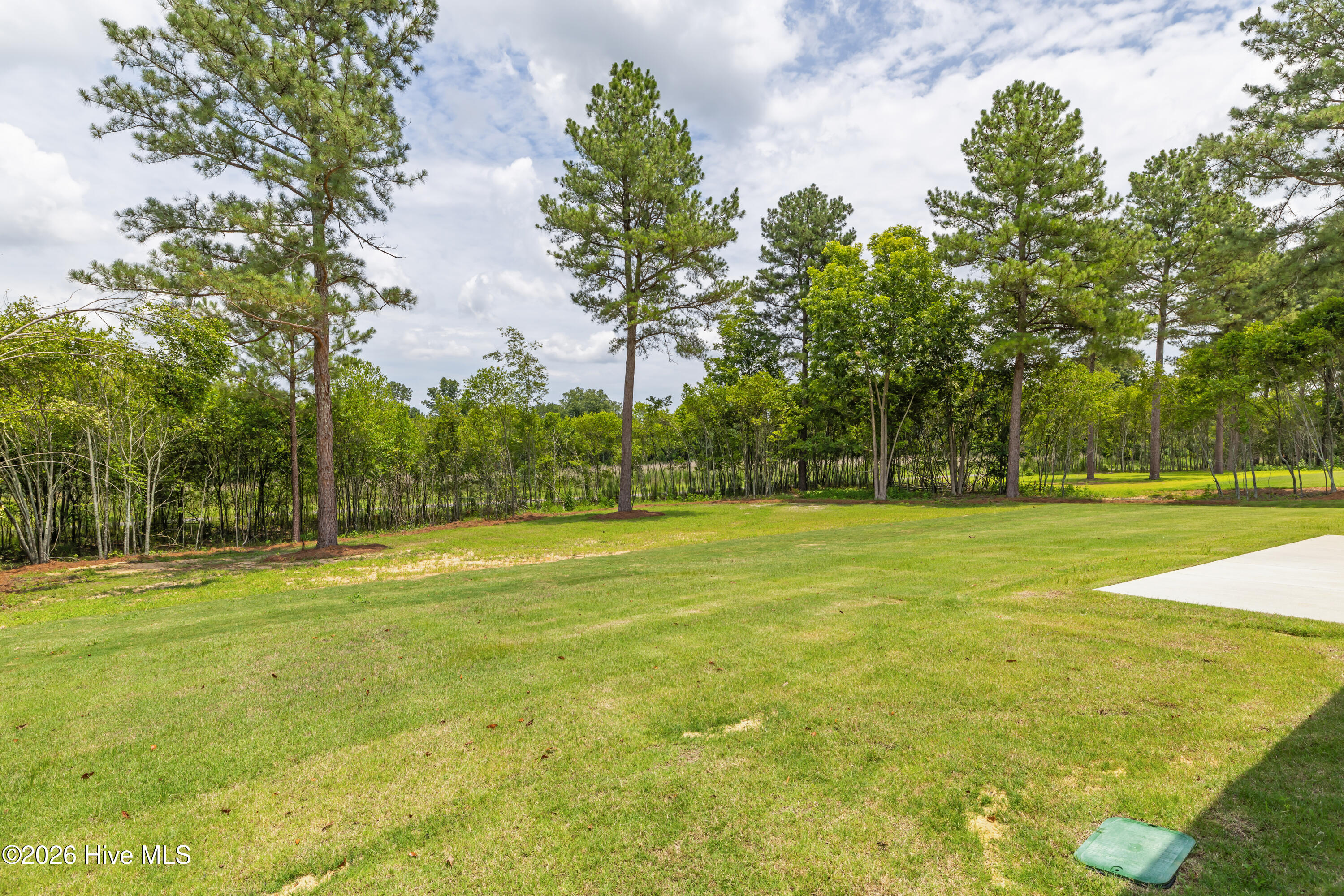 1178 Bellingham Drive Property Photo 62