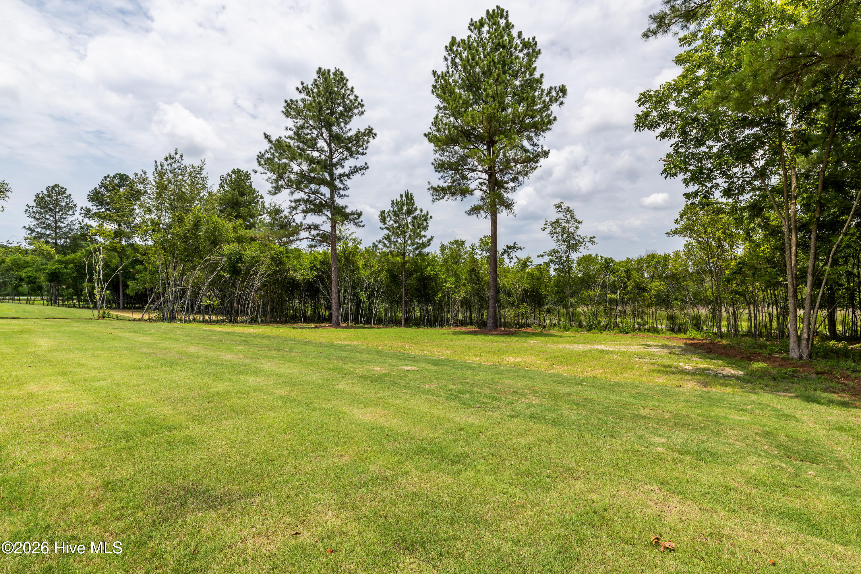 1178 Bellingham Drive Property Photo 64