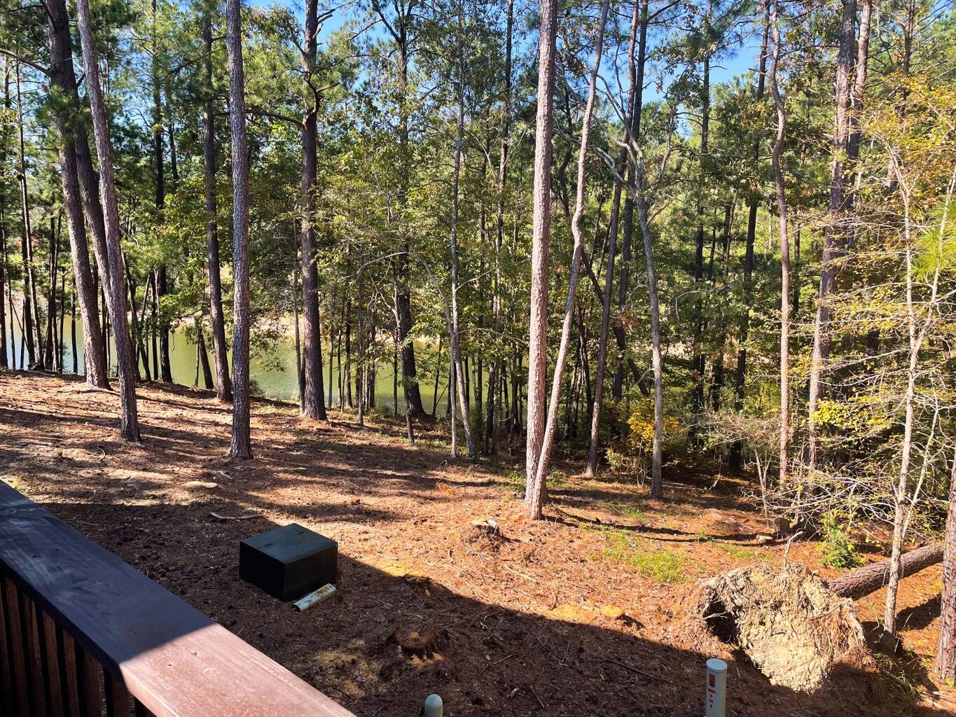 317 Coastal Cove Property Photo 15