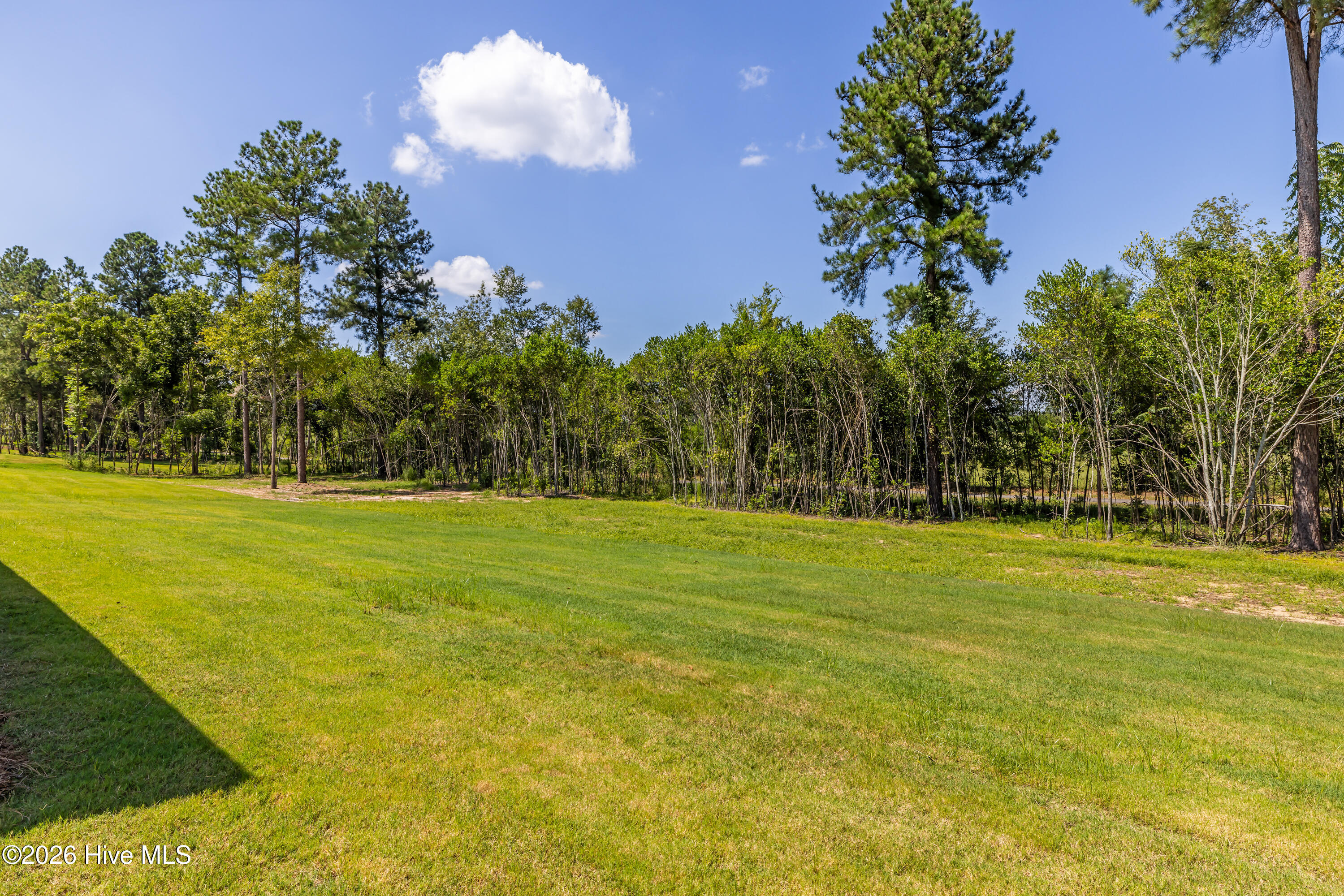 1550 Bellingham Drive Property Photo 64