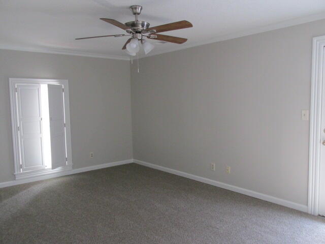 6 Conifer Square Property Photo 19