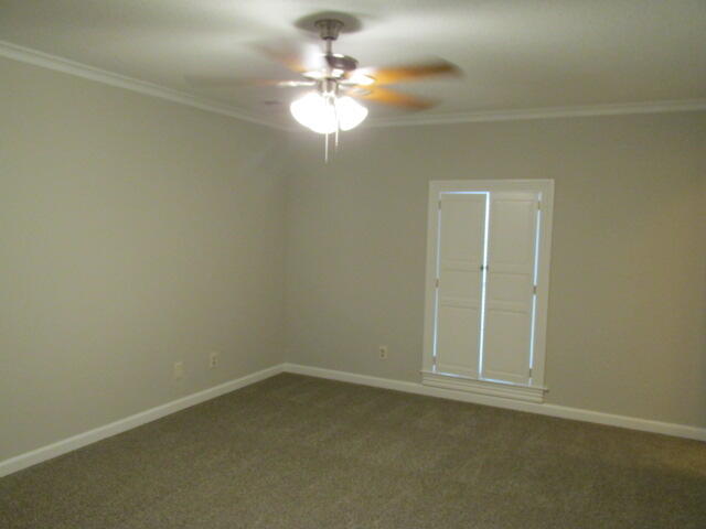 6 Conifer Square Property Photo 24