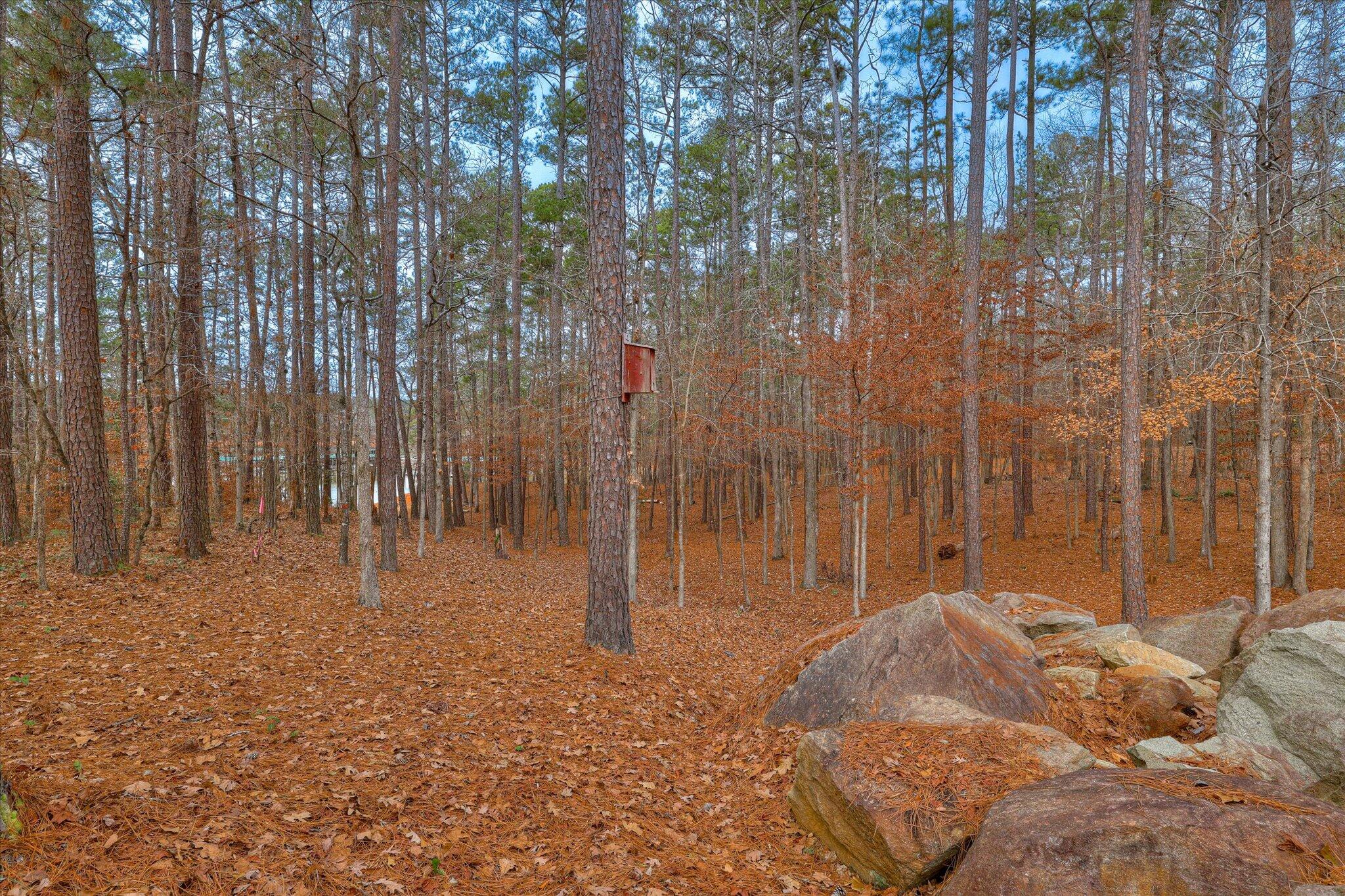 185 Bereau Drive Property Photo 42