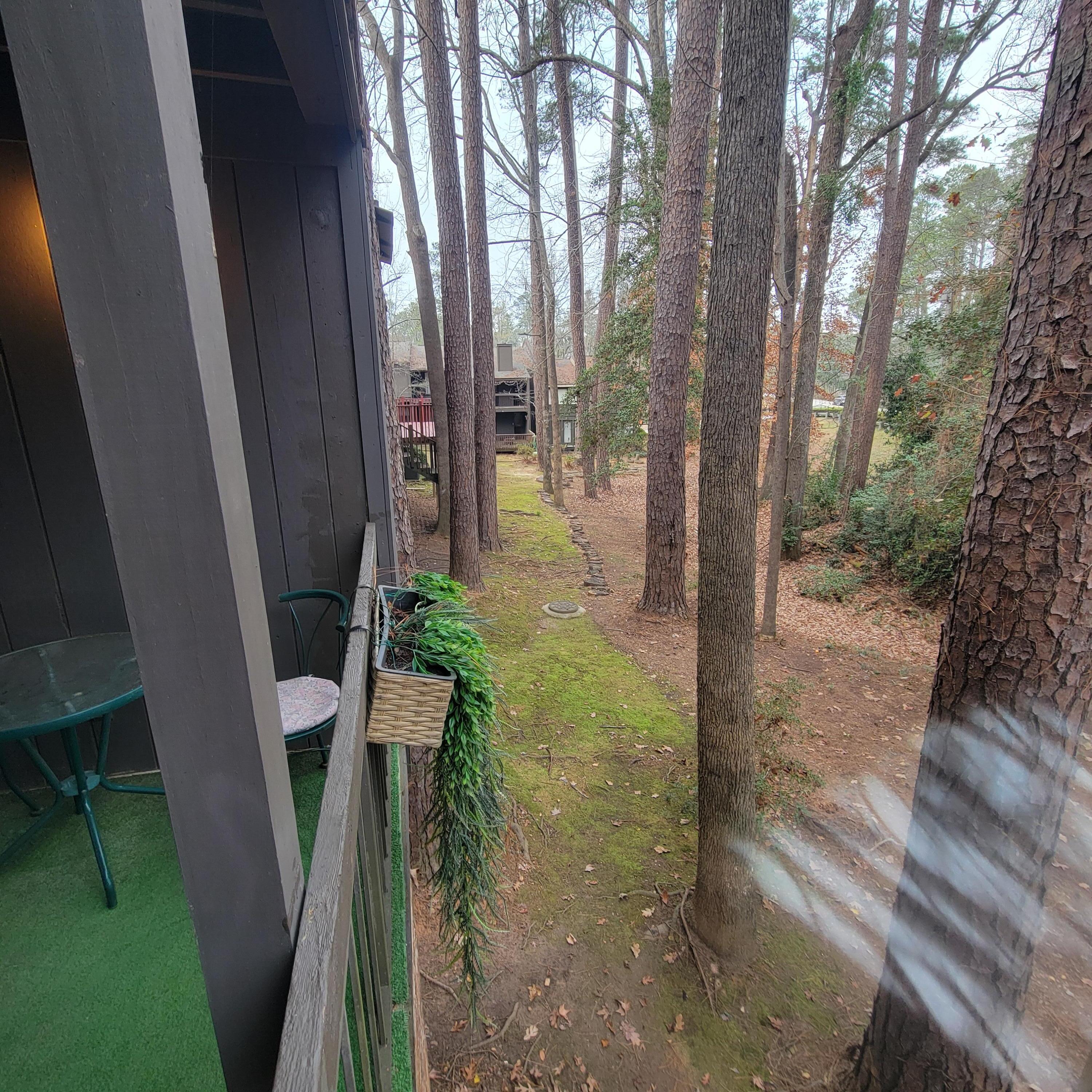 3502 Prestwick Drive Property Photo 66