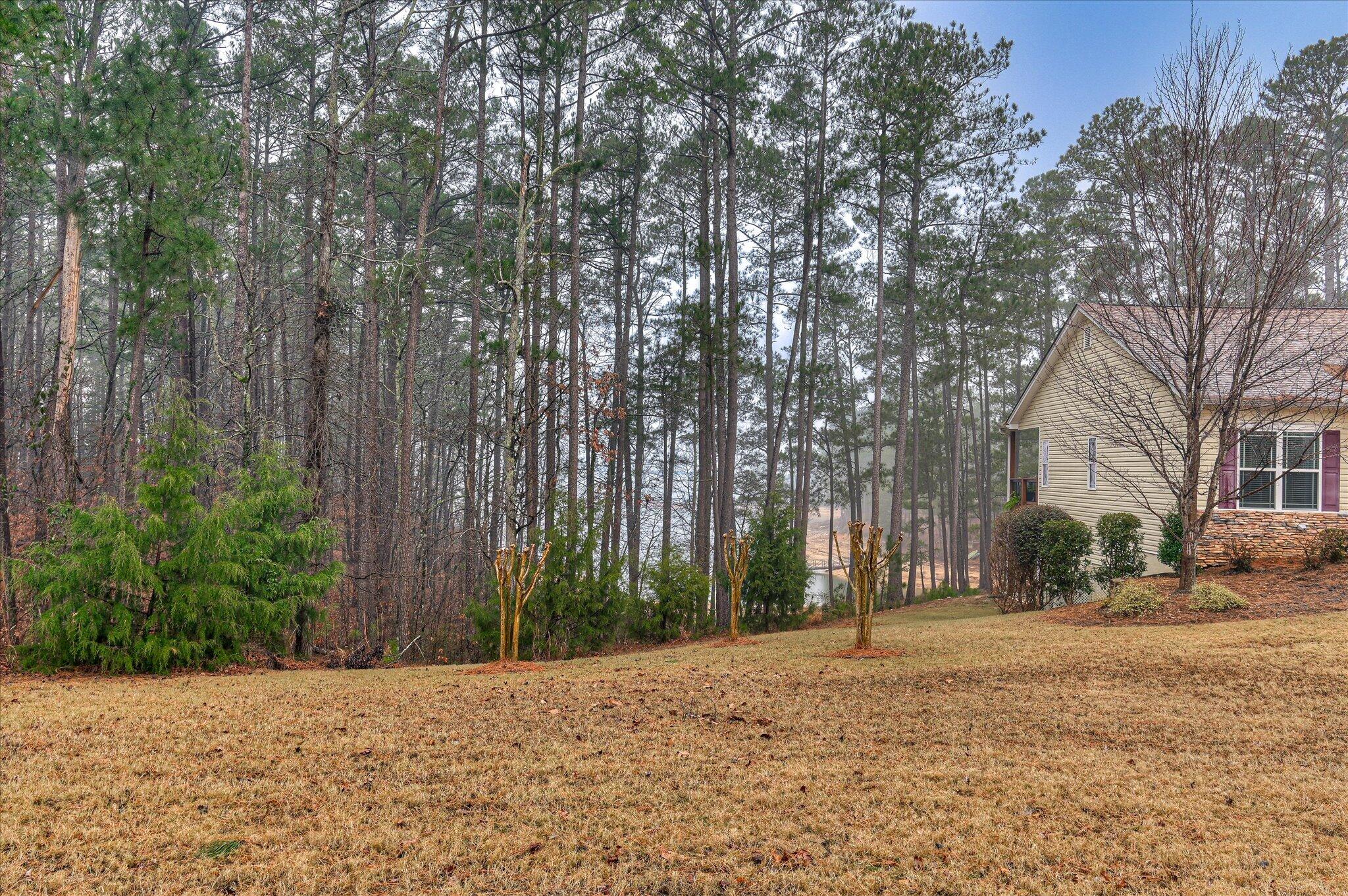 184 Savannah Drive Property Photo 9