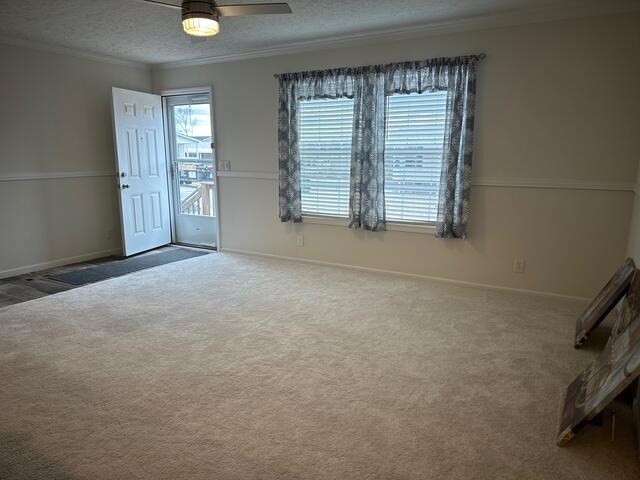 409 Constitution Avenue Property Photo 4