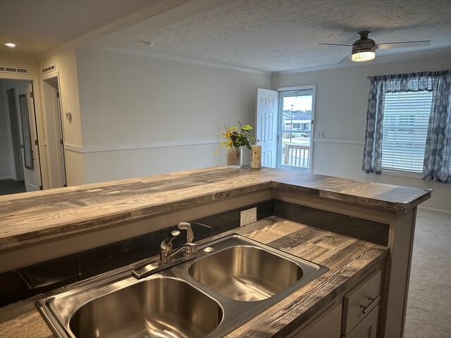 409 Constitution Avenue Property Photo 5