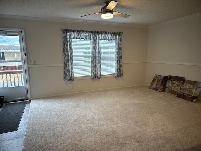 409 Constitution Avenue Property Photo 18