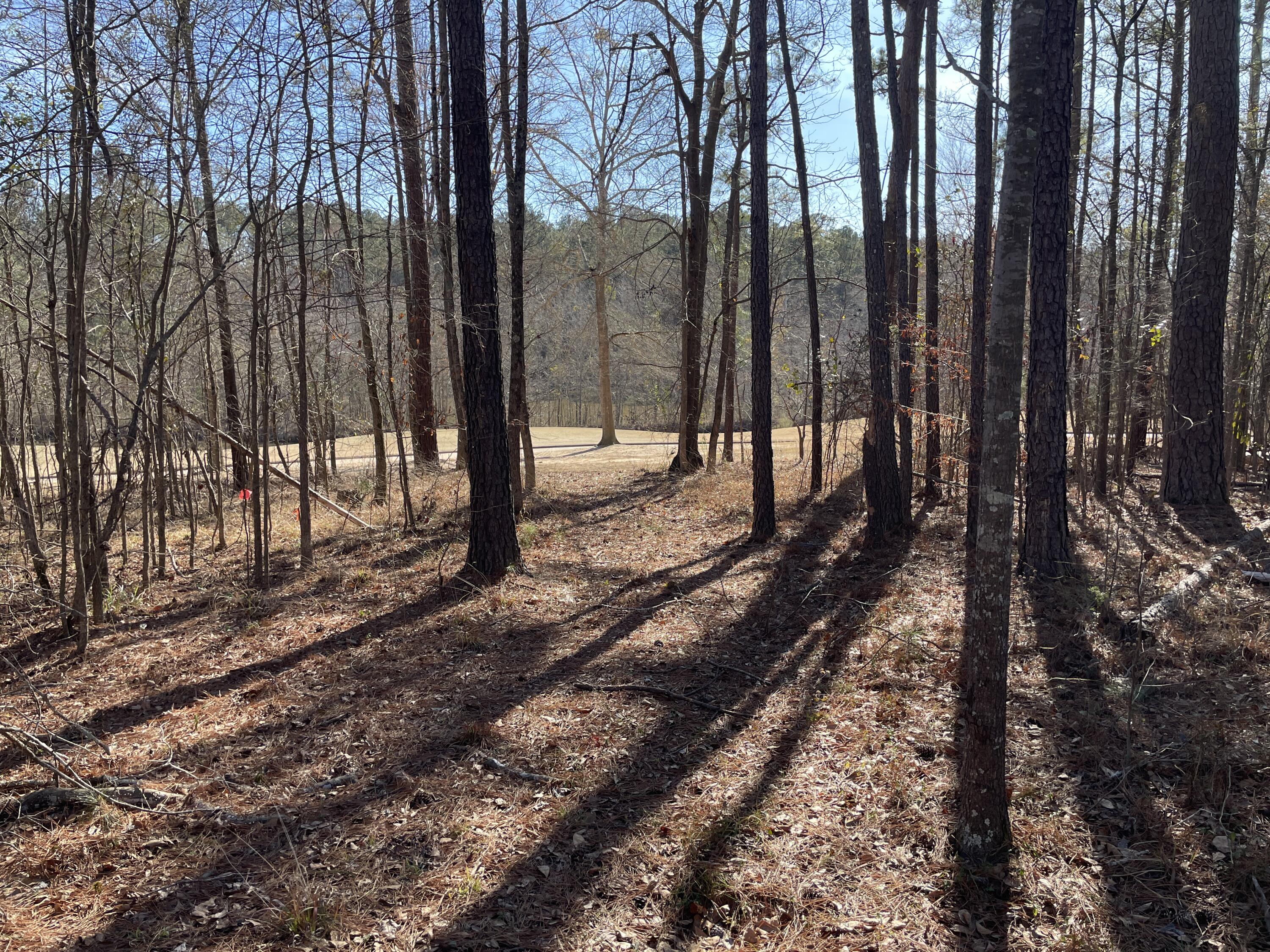80 Beaver Pond Court L-18 Property Photo 8