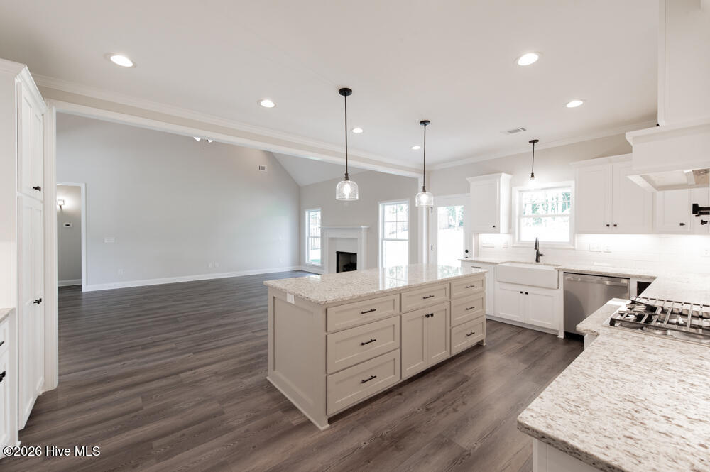 4091 Shimmer Lake Lane Property Photo 9