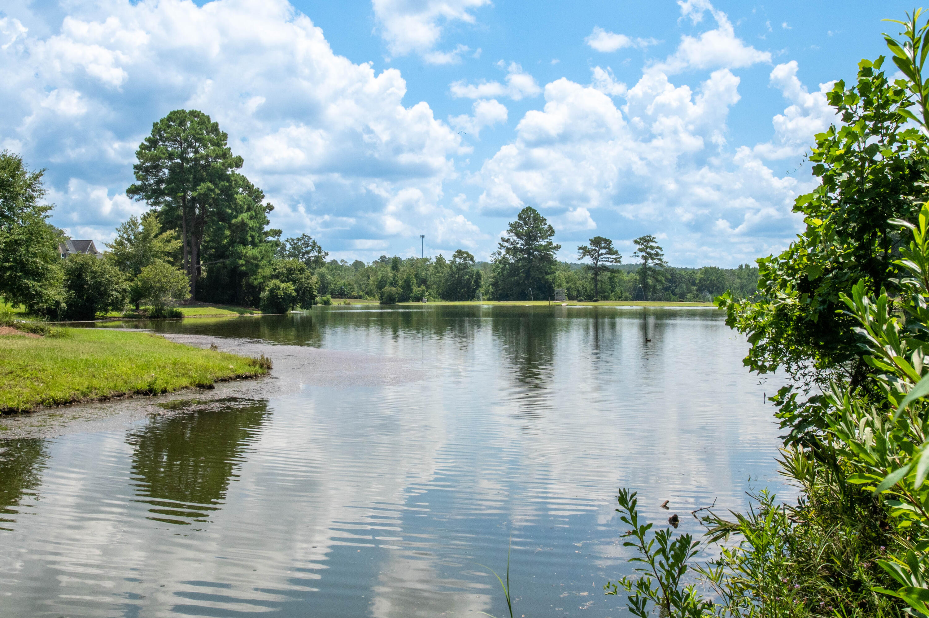 4091 Shimmer Lake Lane Property Photo 36