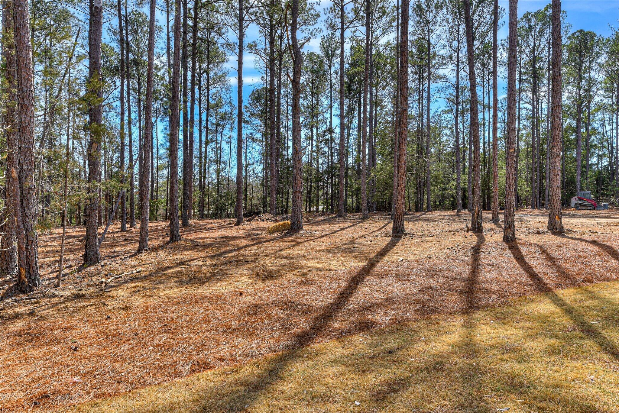 1006 Sadie Property Photo 46